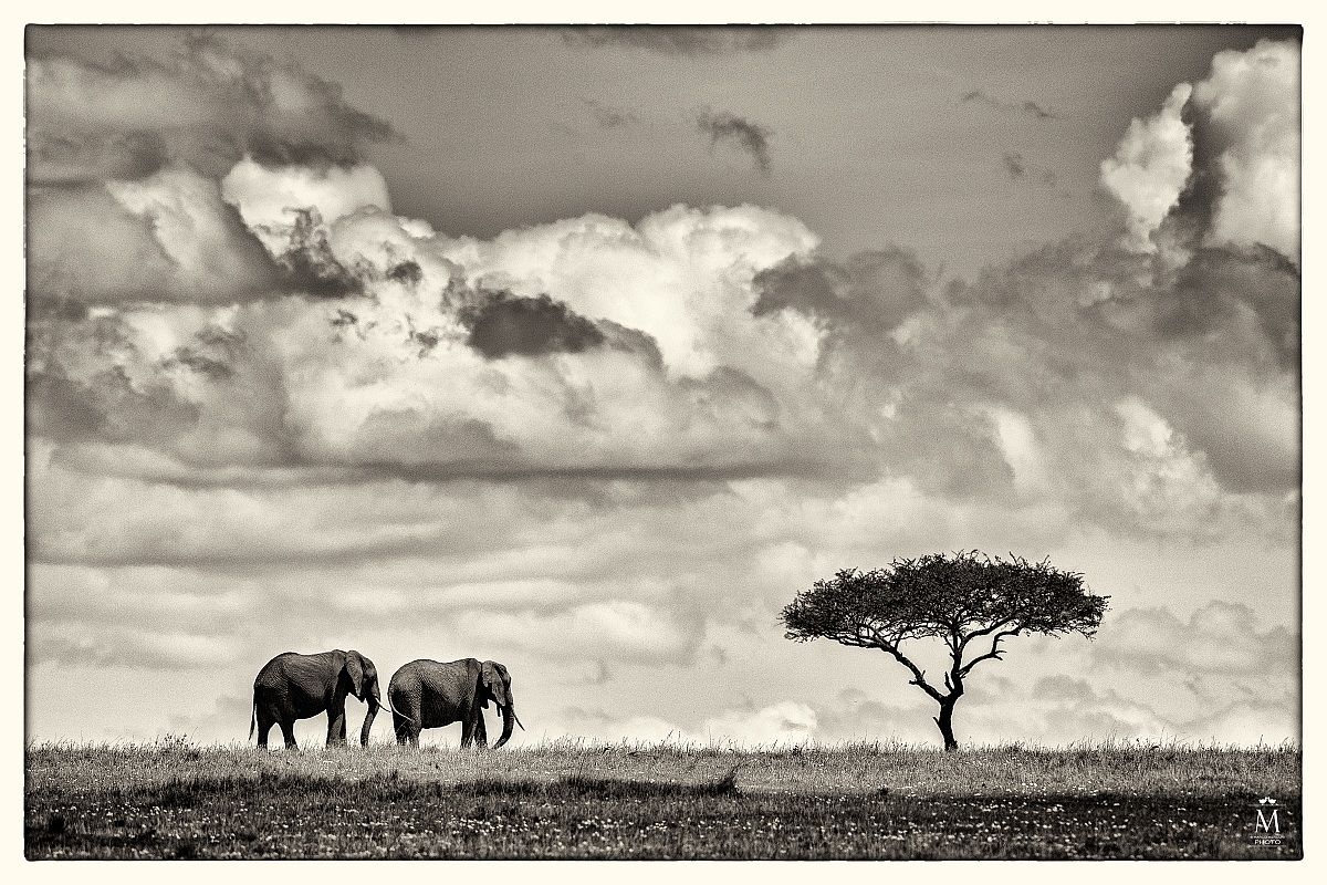 Una Cartolina dal Mara.