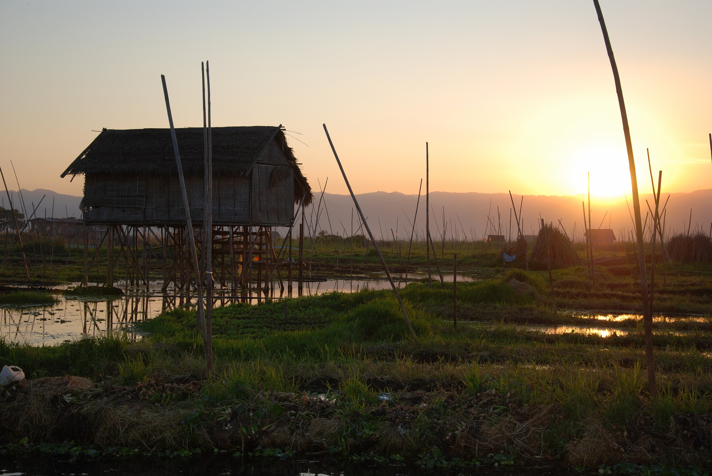 gardens on Inle Lake