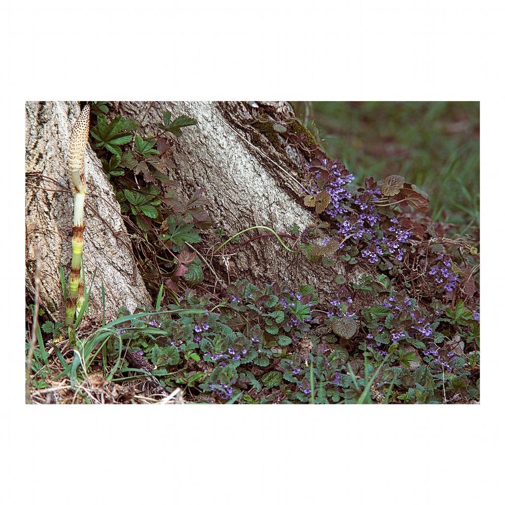 Life.Interconnected. #2