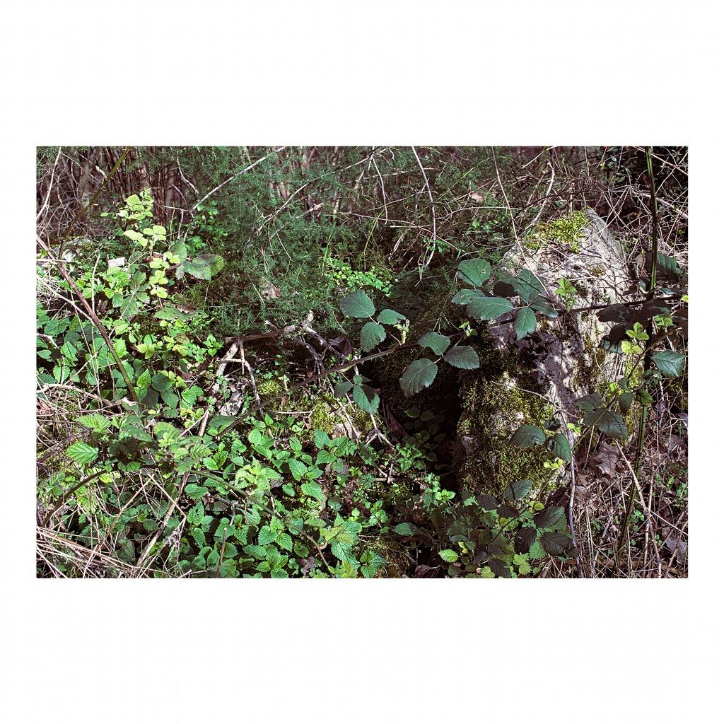 Life.Interconnected. #1