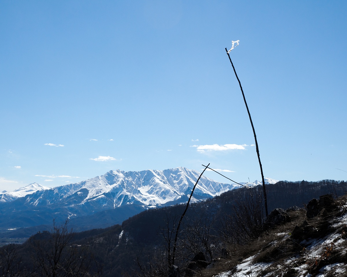 Bisalta in lontananza