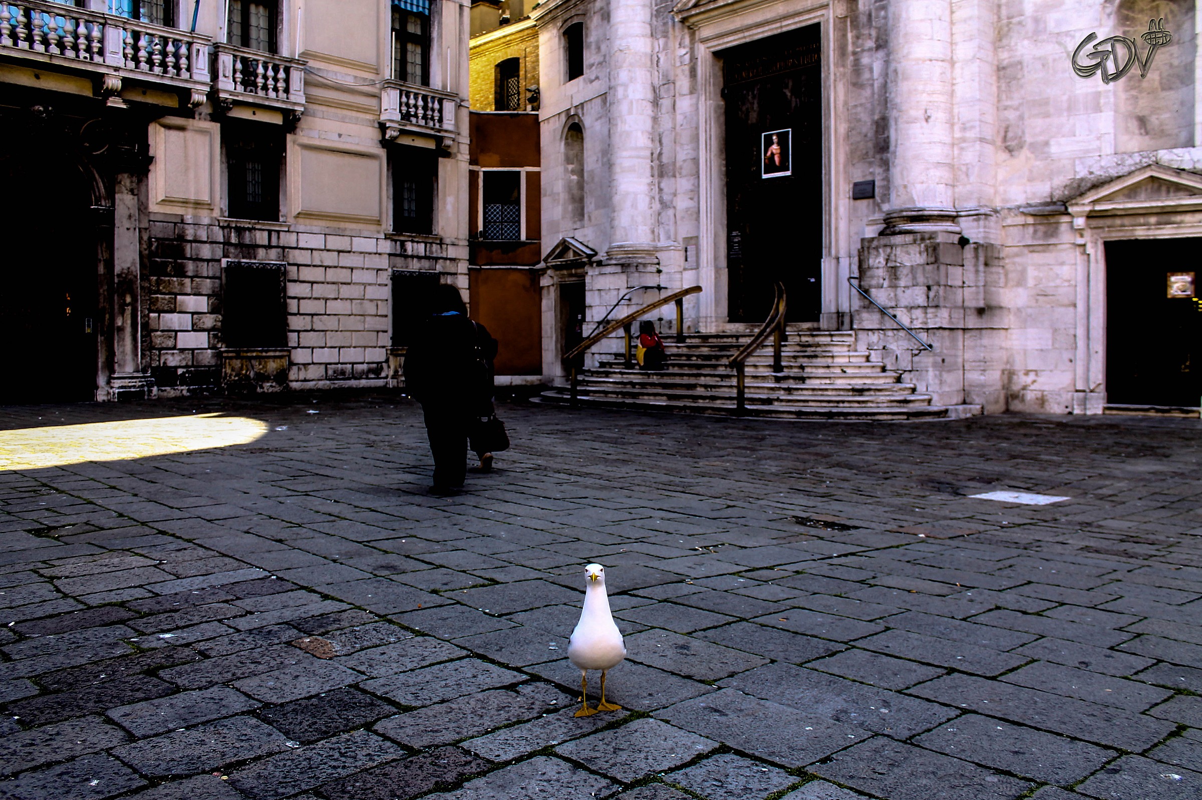 Il Signore della Piazza