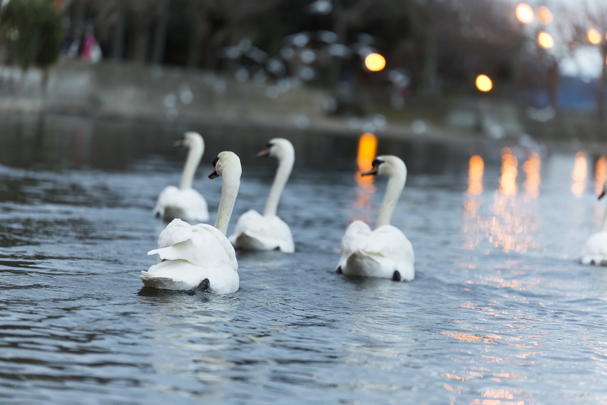 Lì, ...........dove?