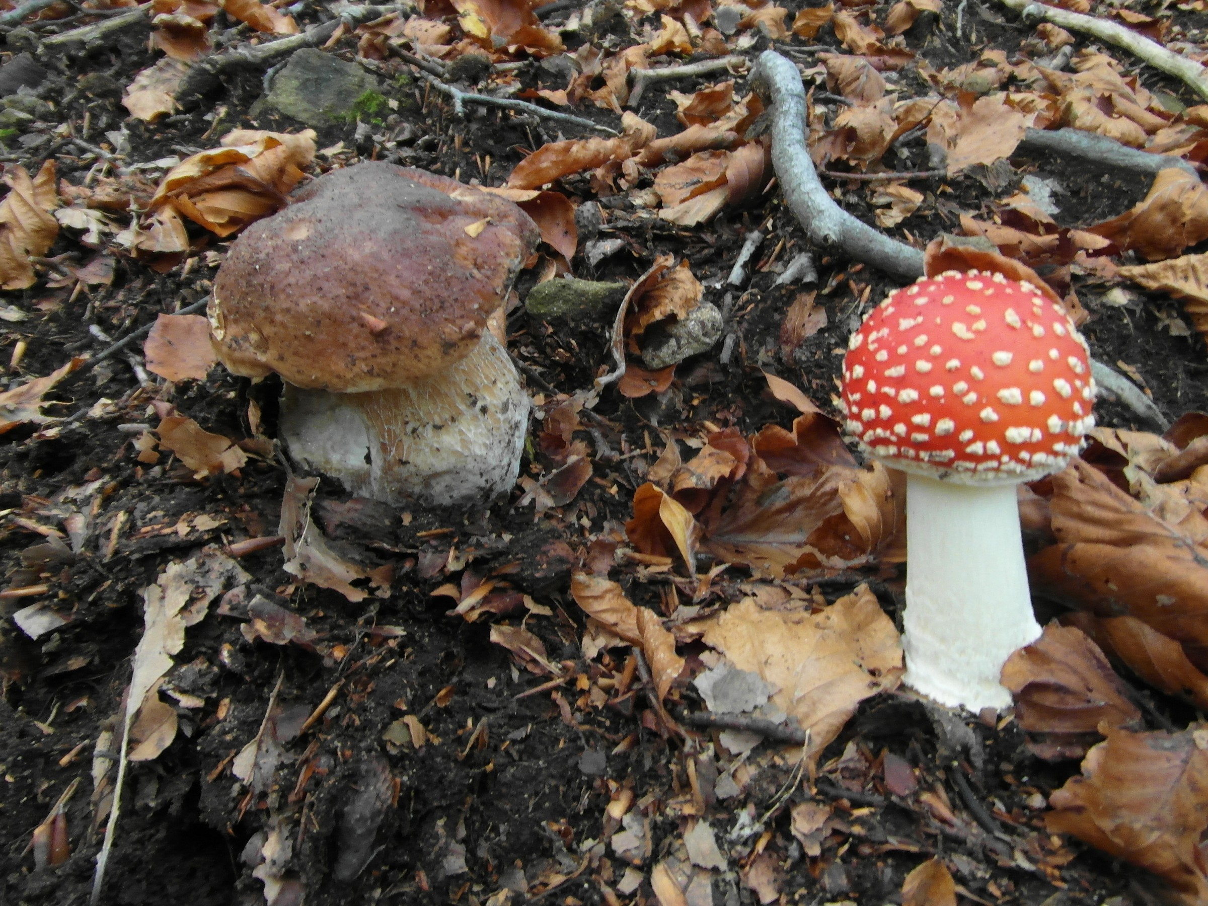 Il buono..e il cattivo...