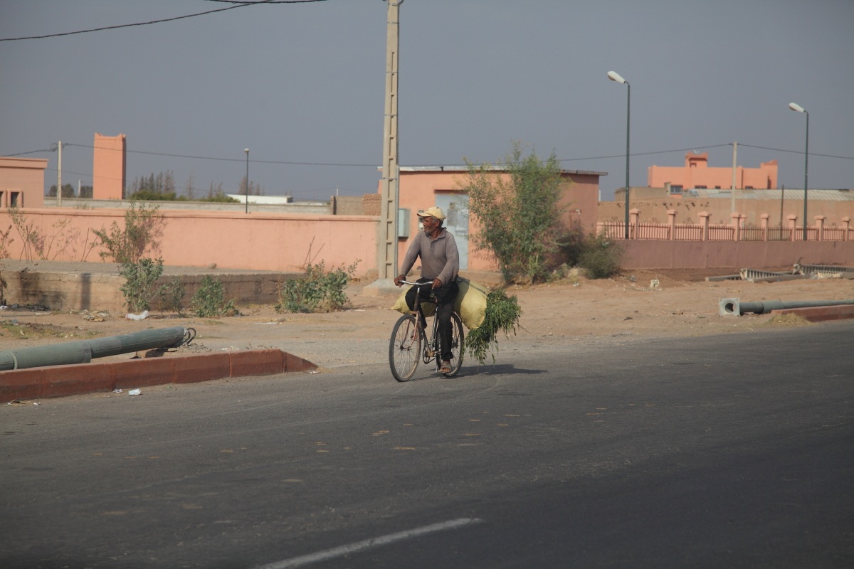 One....moroccan individuality...