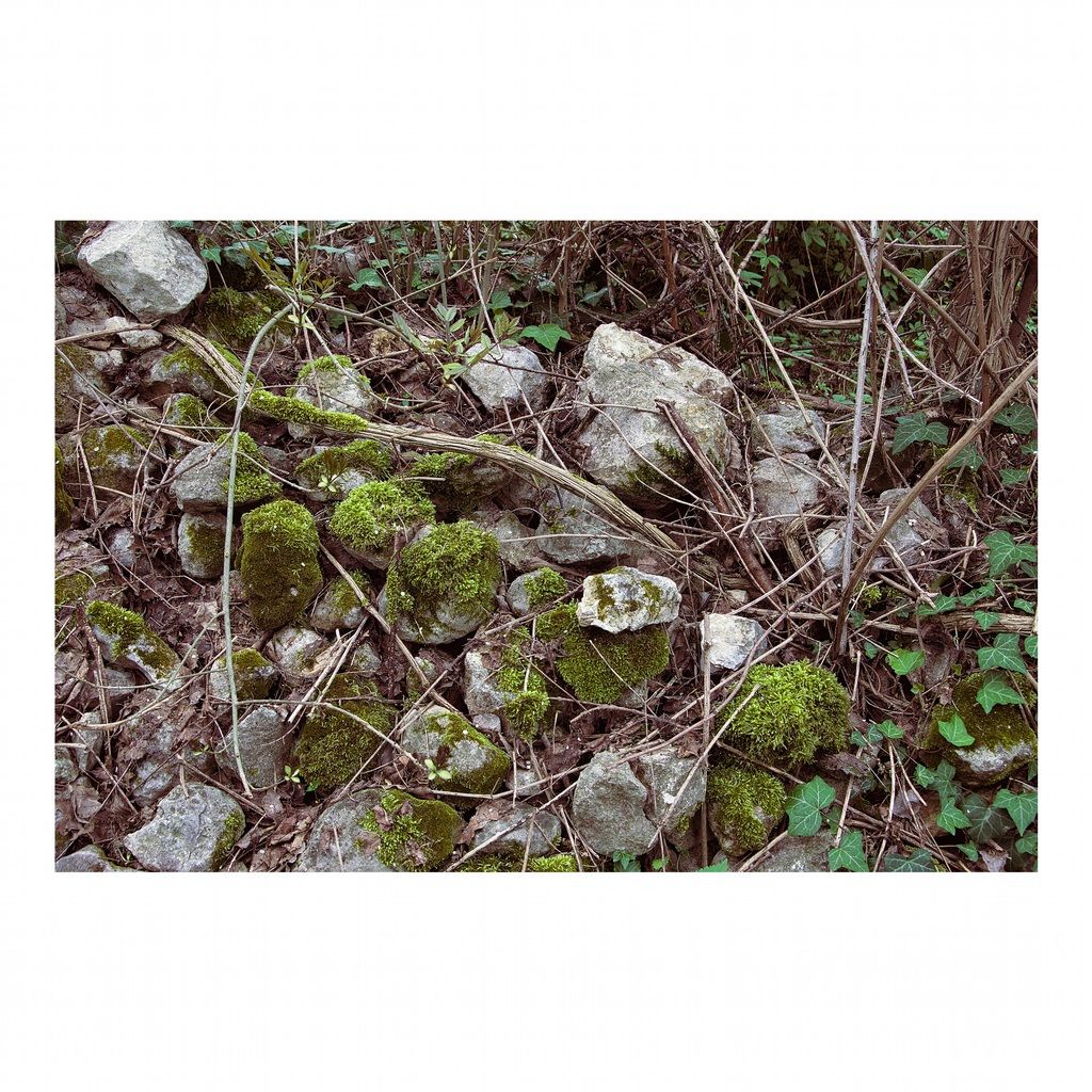 Life.Interconnected. #3