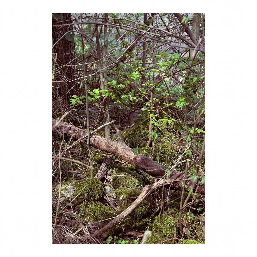 Life.Interconnected. #5