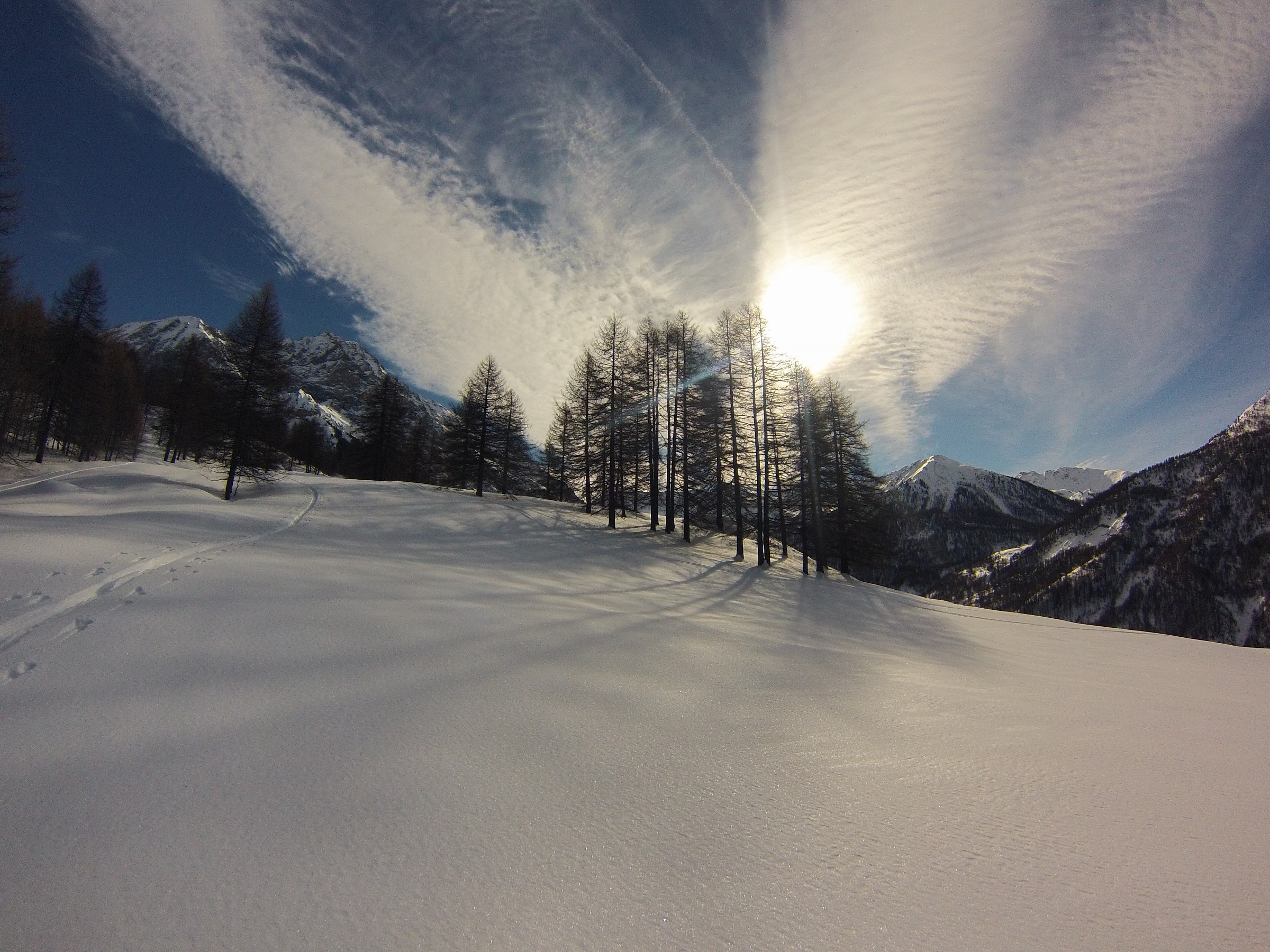 Val Susa - Busson - Cima del bosco