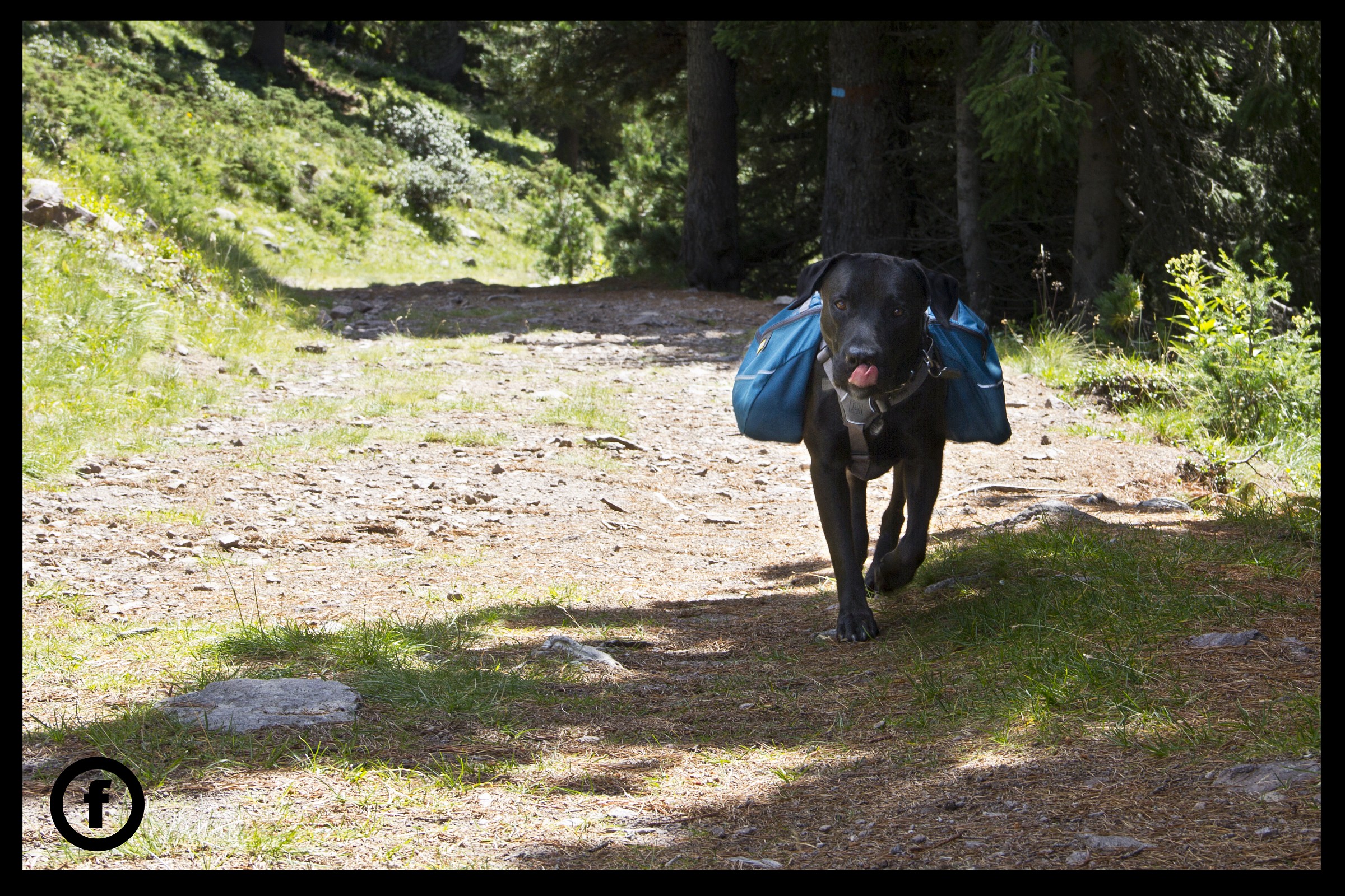 Pablo and saddle bags (first rule of the mountain)