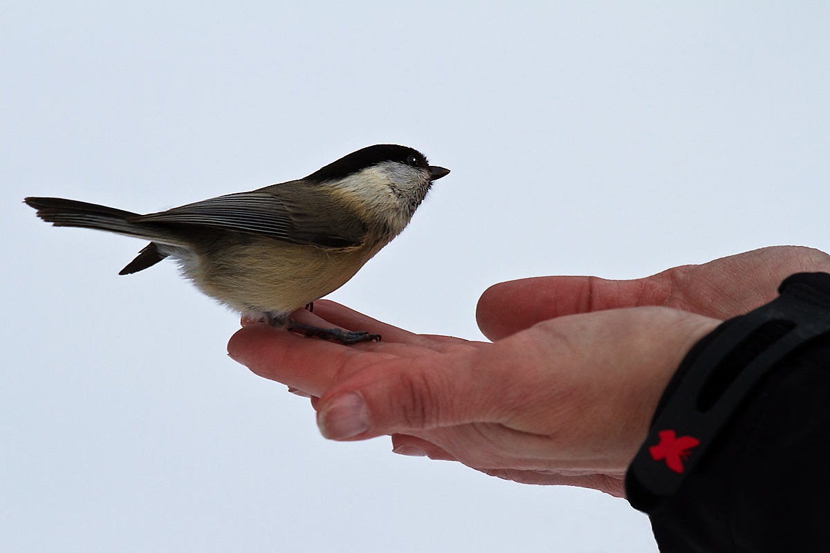 You give me something!