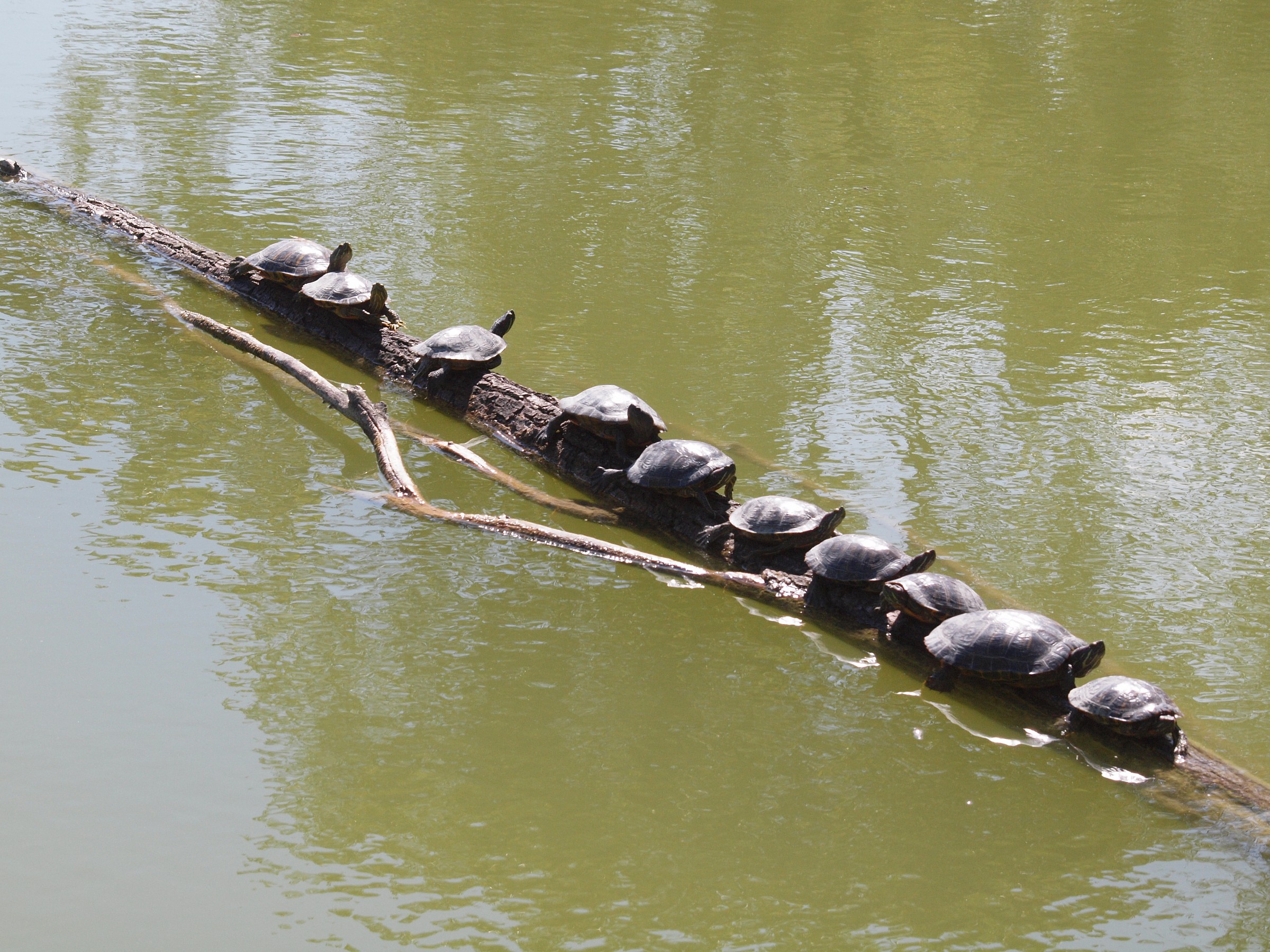 There is no place on ..