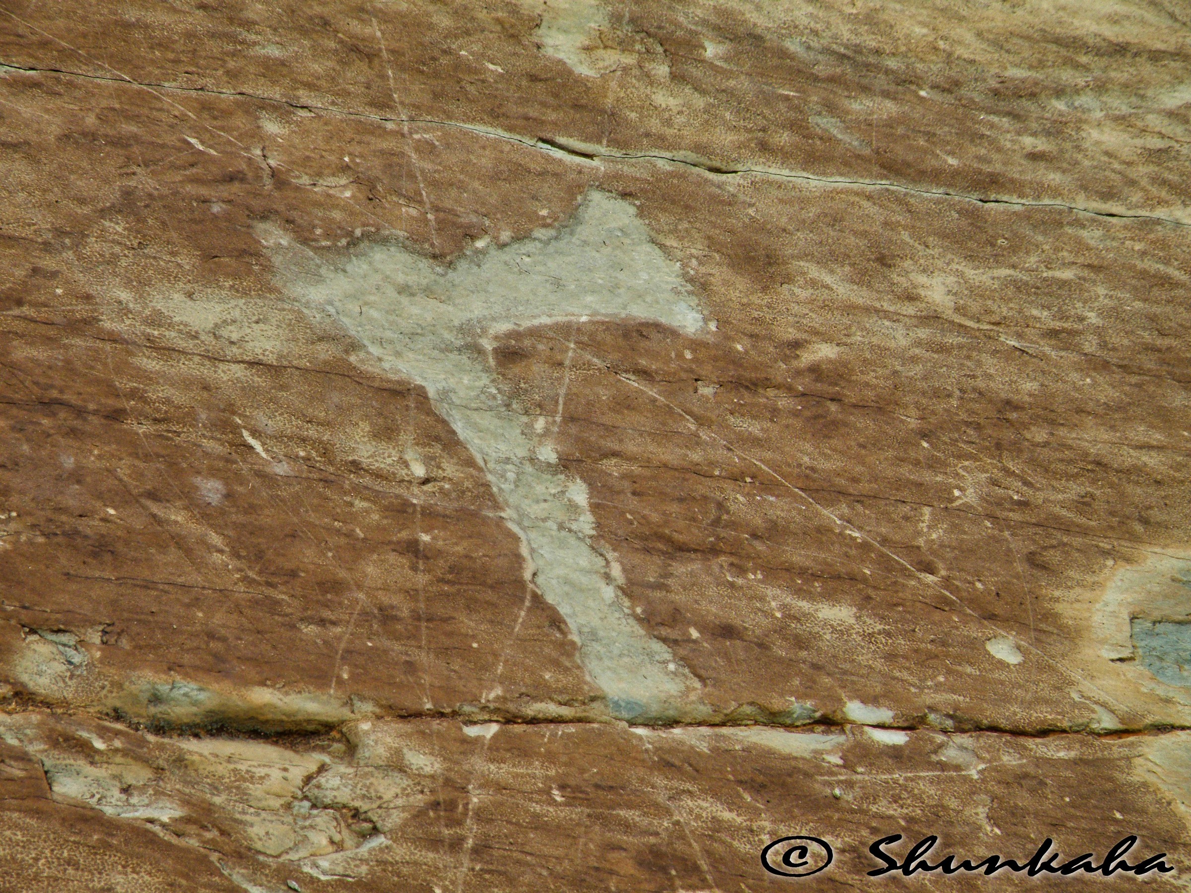 Fontanalba - La via Sacra (particolare)