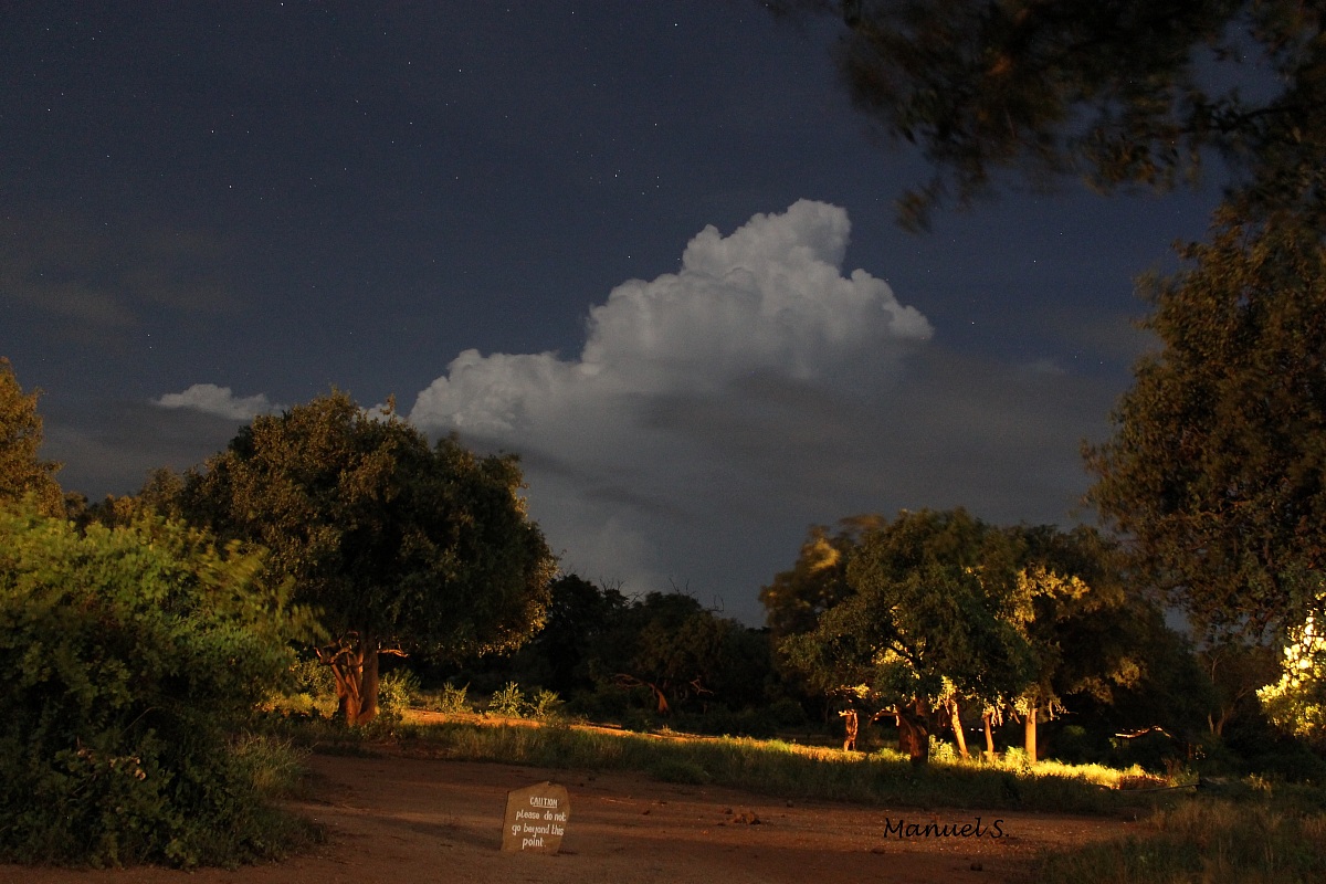 savannah, cloud and stars