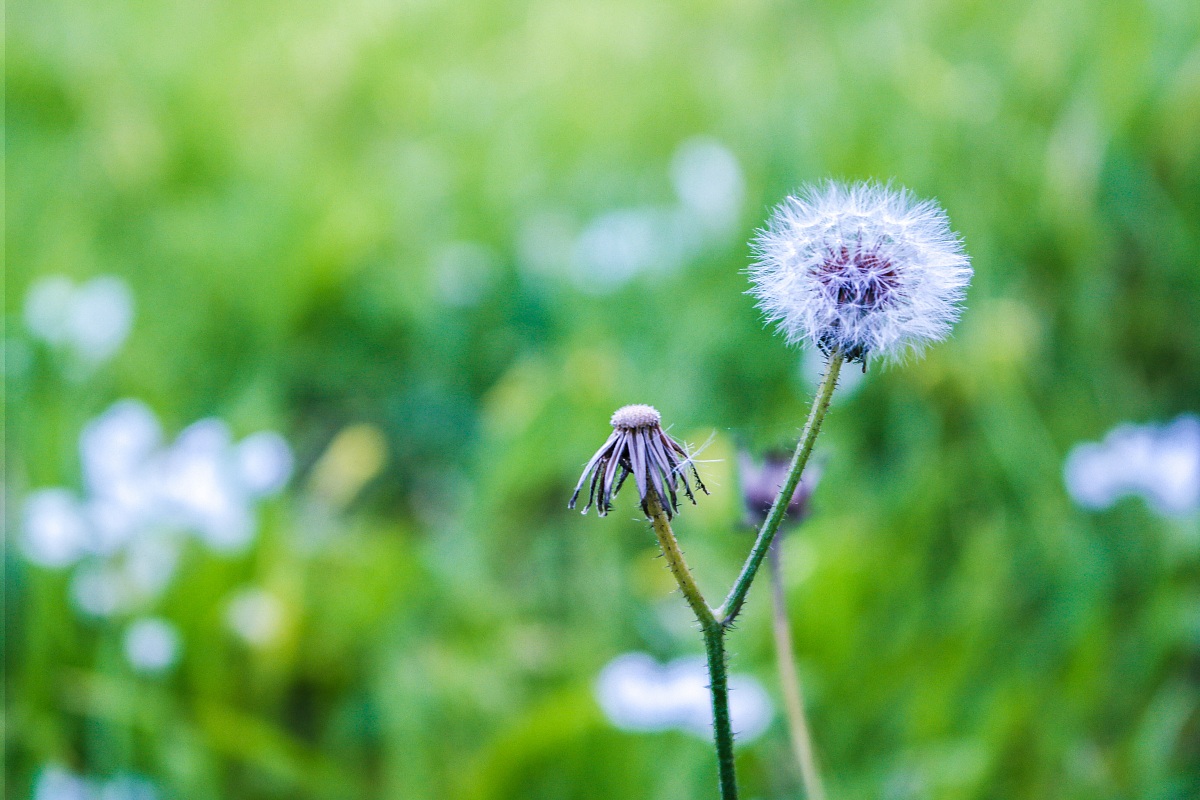 Prova ritocco lightroom 4