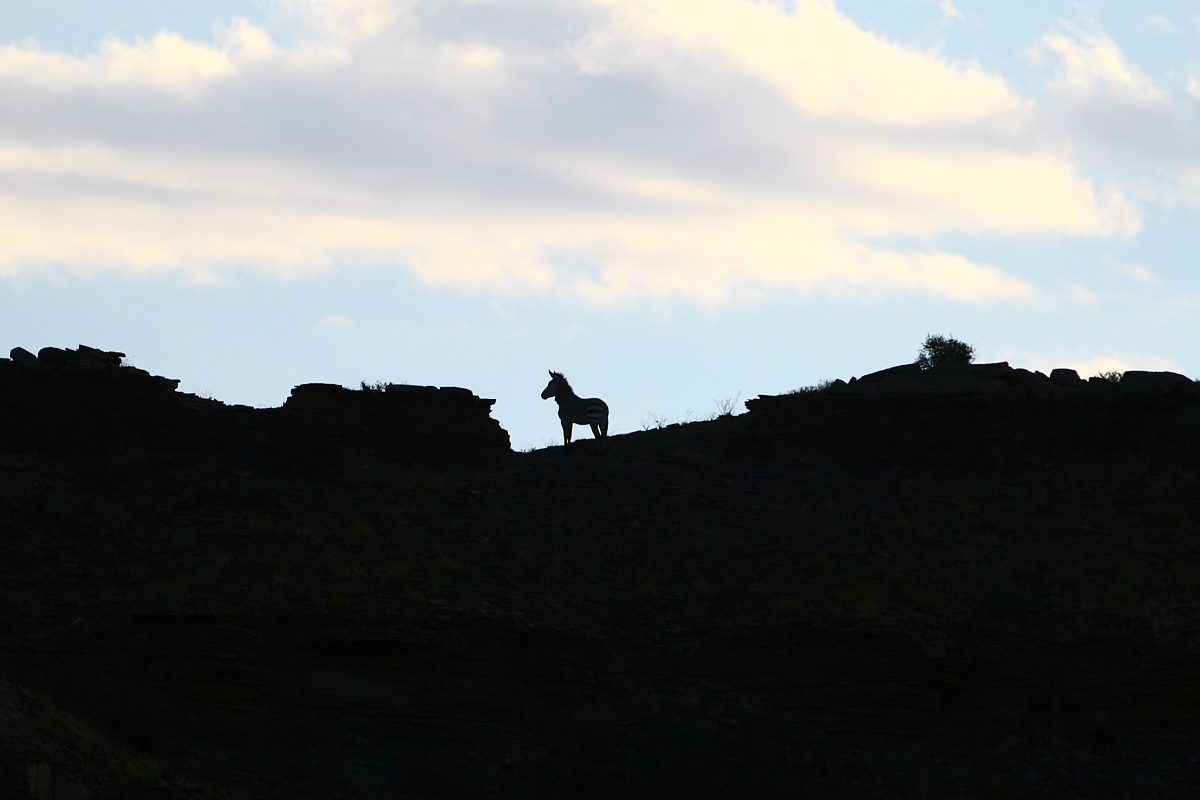 l'ultimo controllo prima della notte