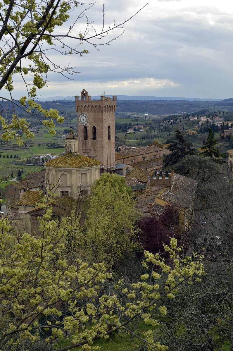 San Miniato - view of the Cathedral - Vertical