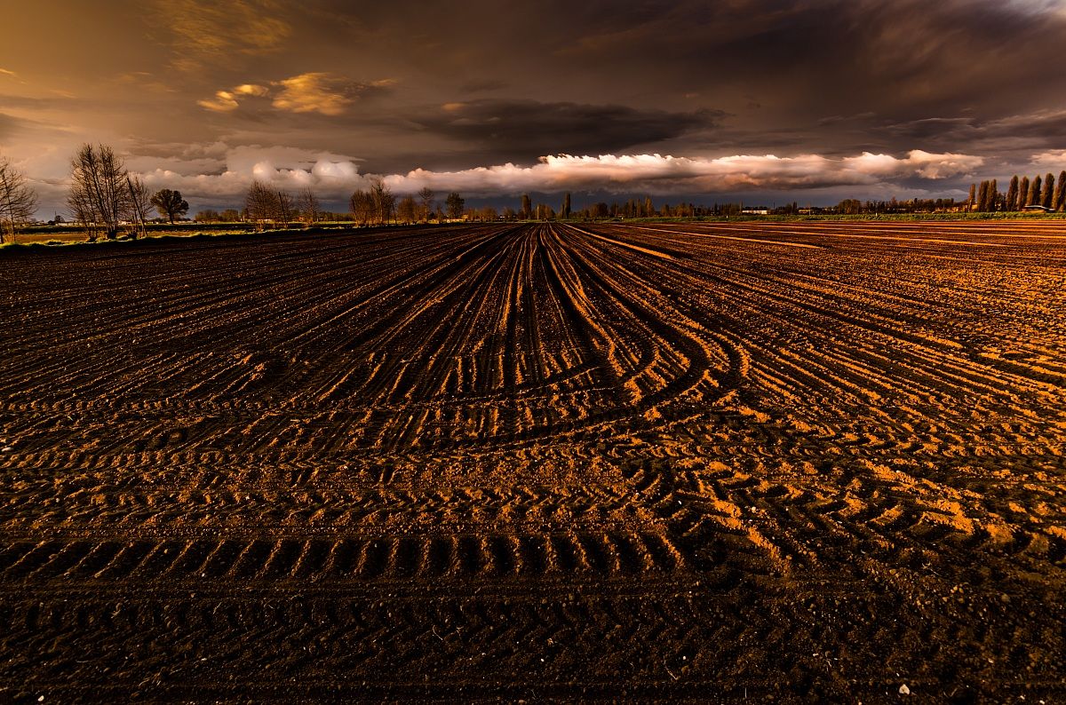 Si preparano i campi x la semina