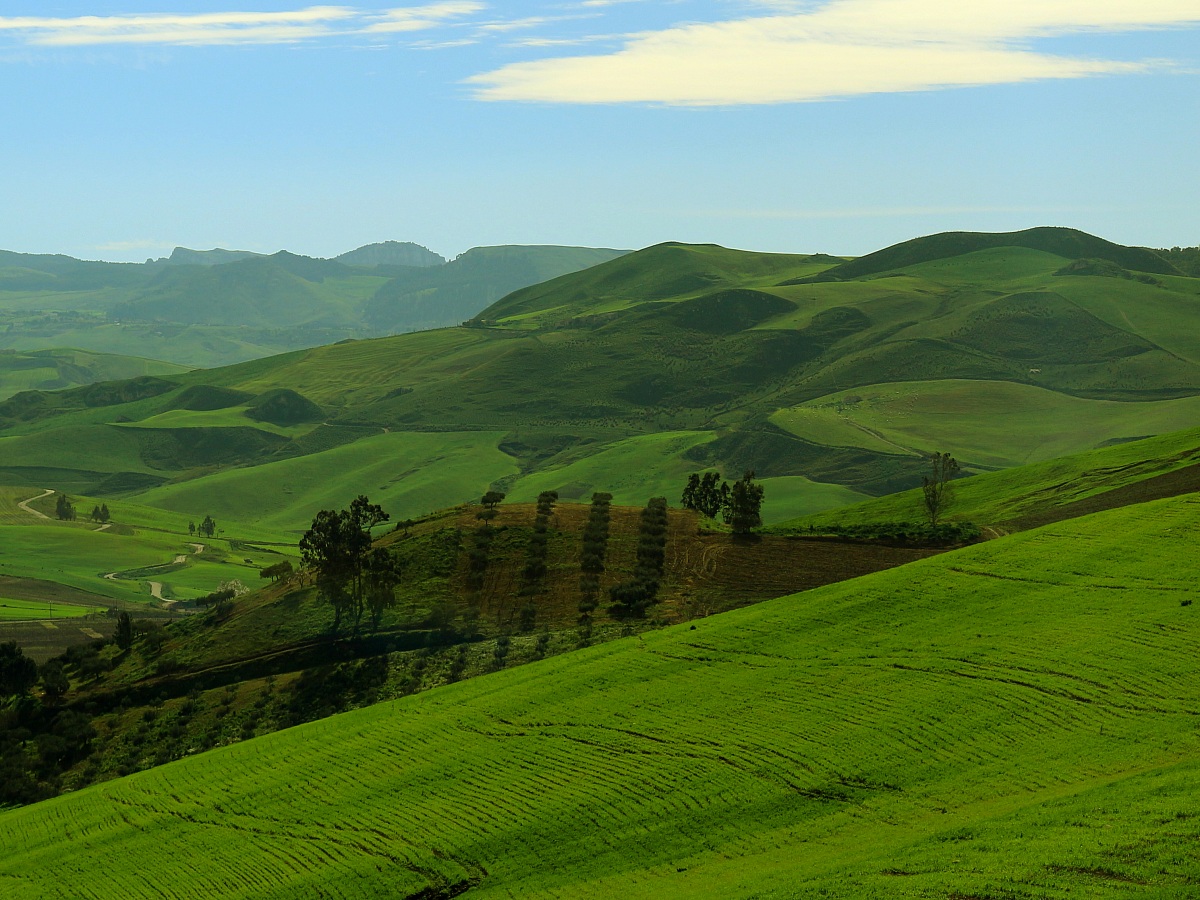 Campagna di Roccamena