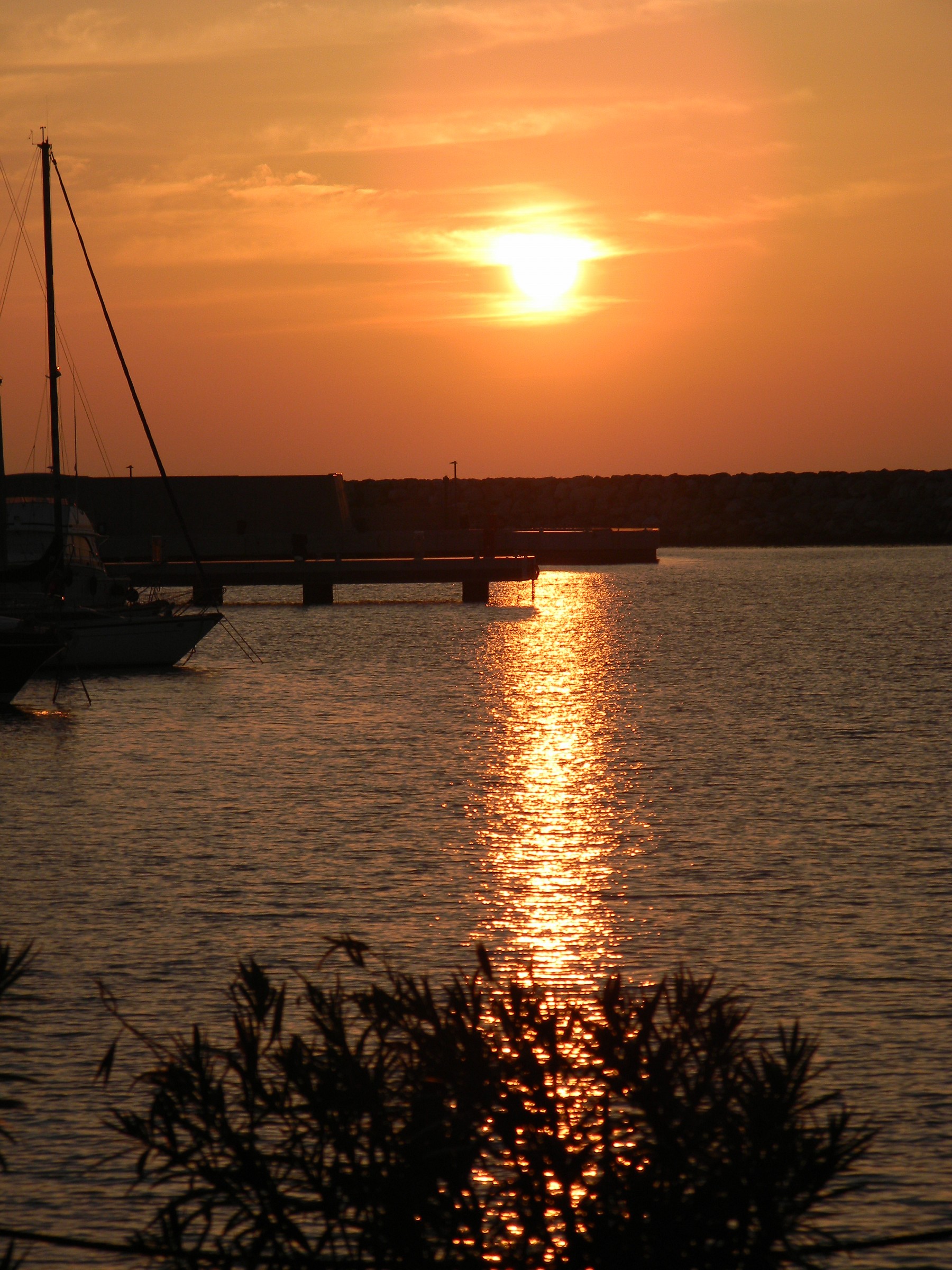 porto marina di pisa