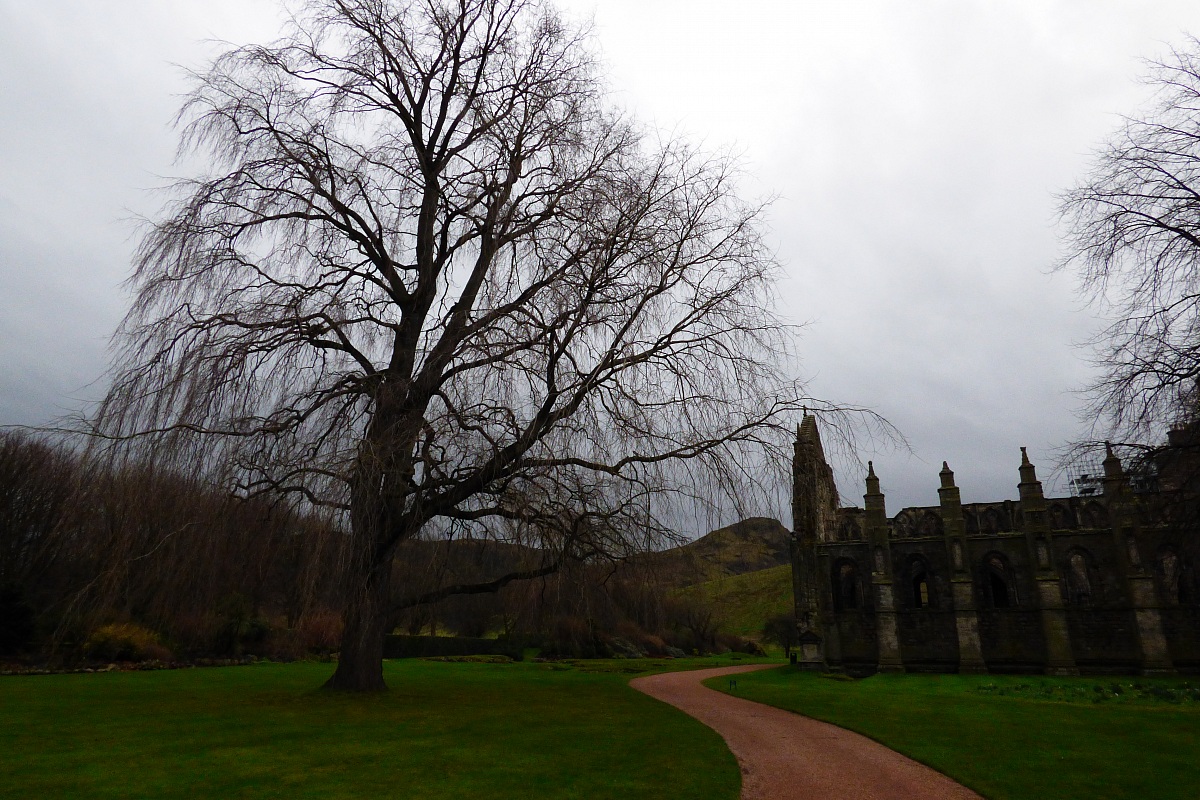 Giardini di Holyrood House