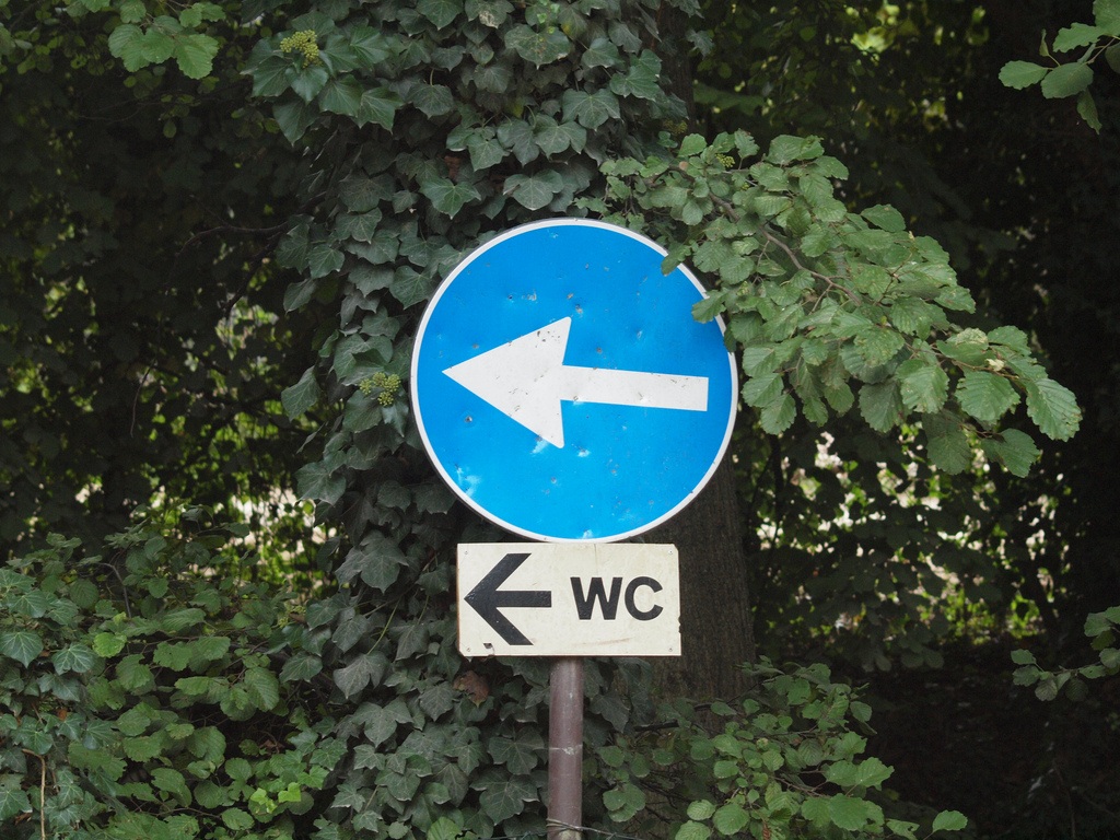 direzione obbligatoria