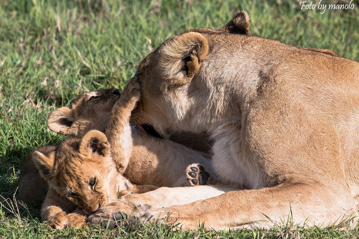 Dai mamma mi fai il solletico