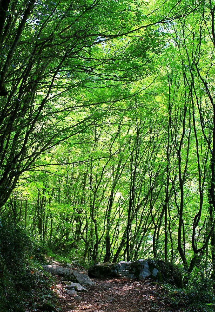Sentiero lungo il Fiume Calore