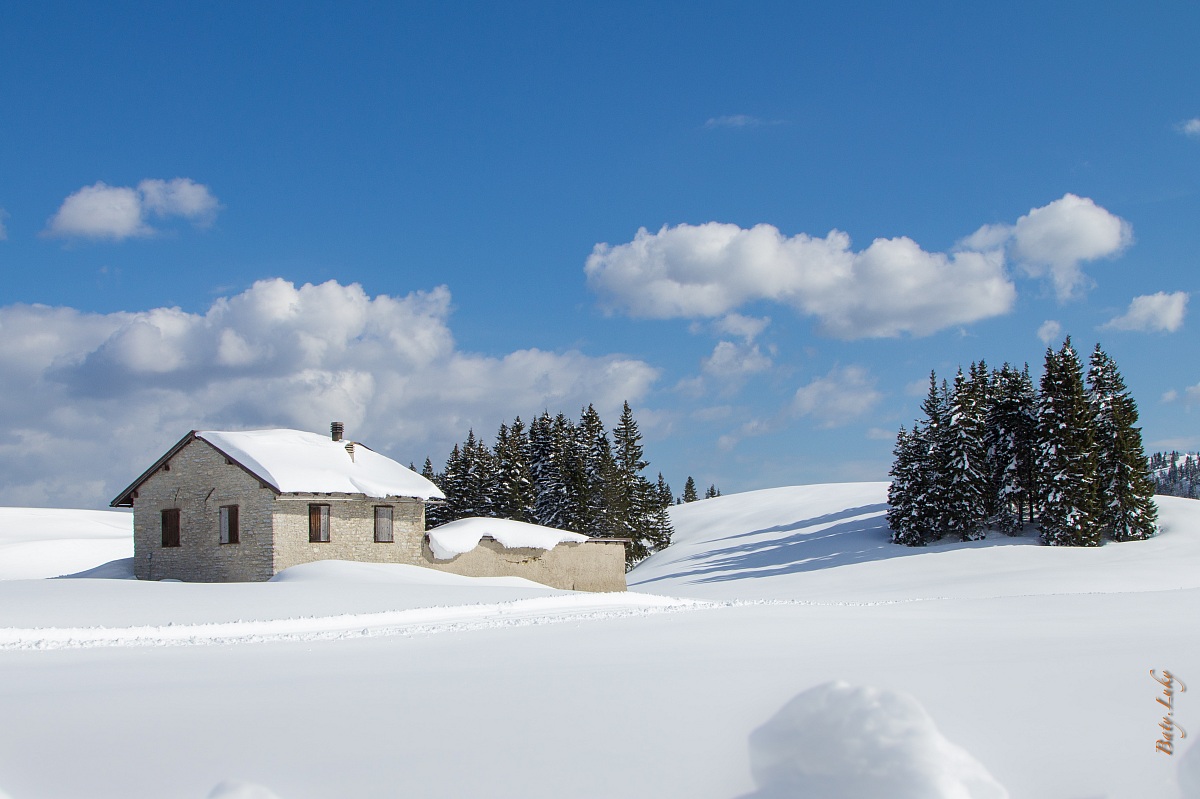 Piccola malga a P. Coe