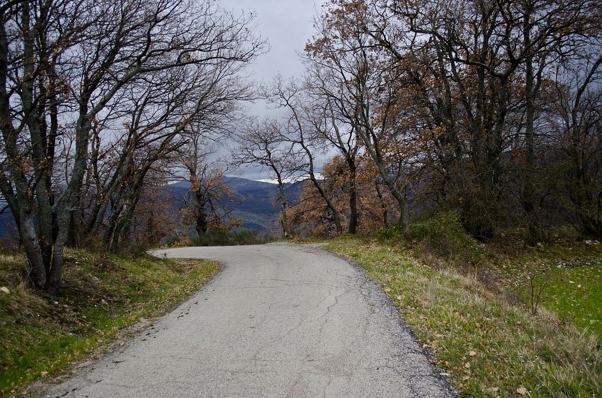 La curva