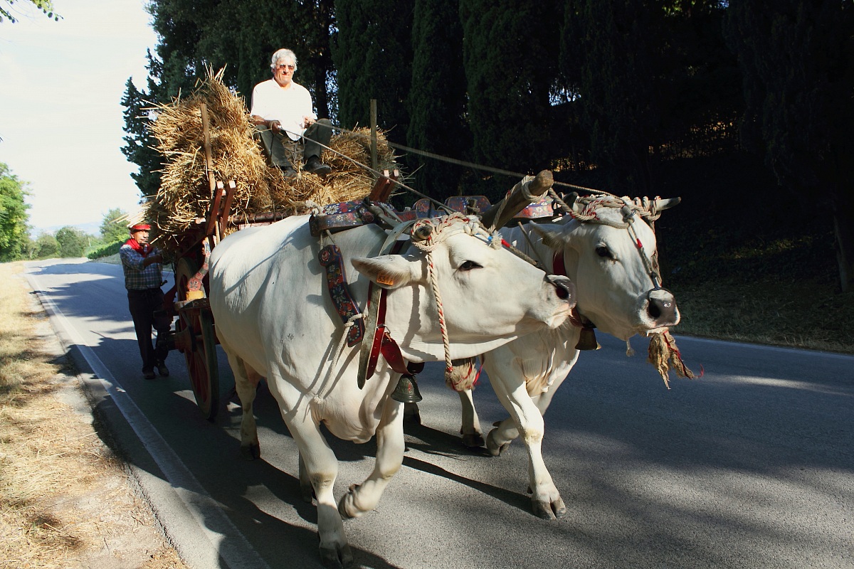 Feast of the threshing