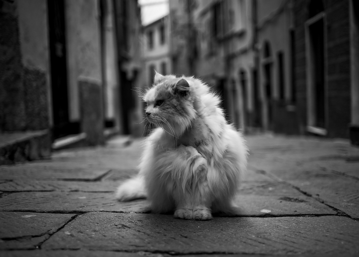 Passeggiando a Portovenere
