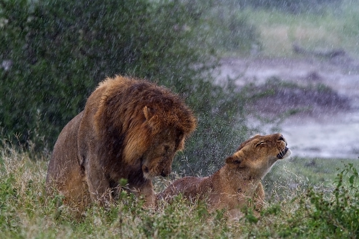 Piove sul nostro amore
