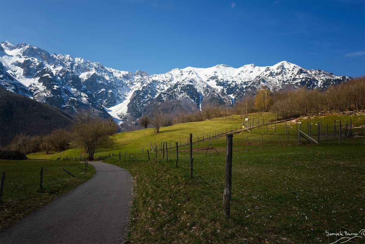 Panorama on M.Carega and M.Levante