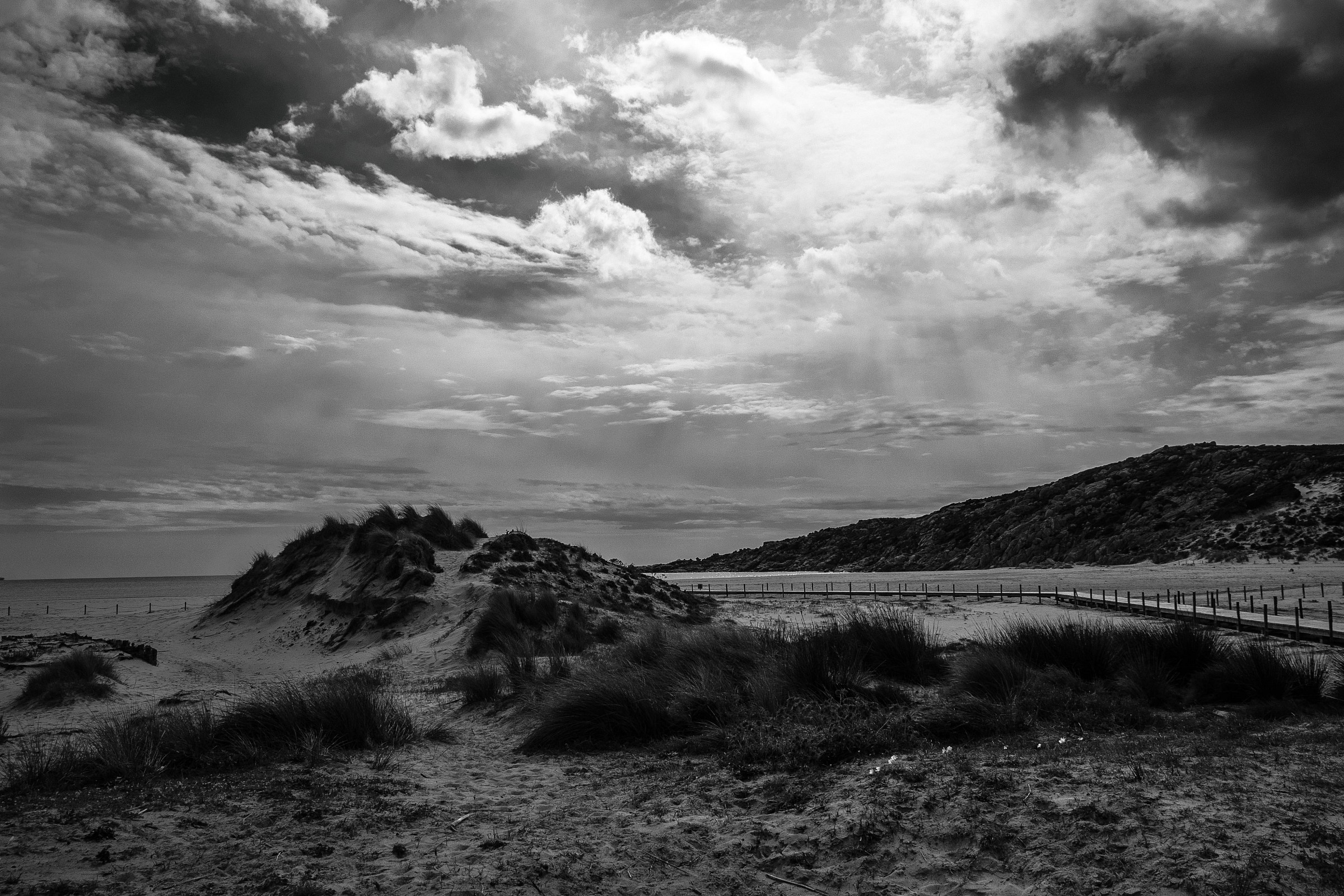 Yet still ... the wind blows (cited above)