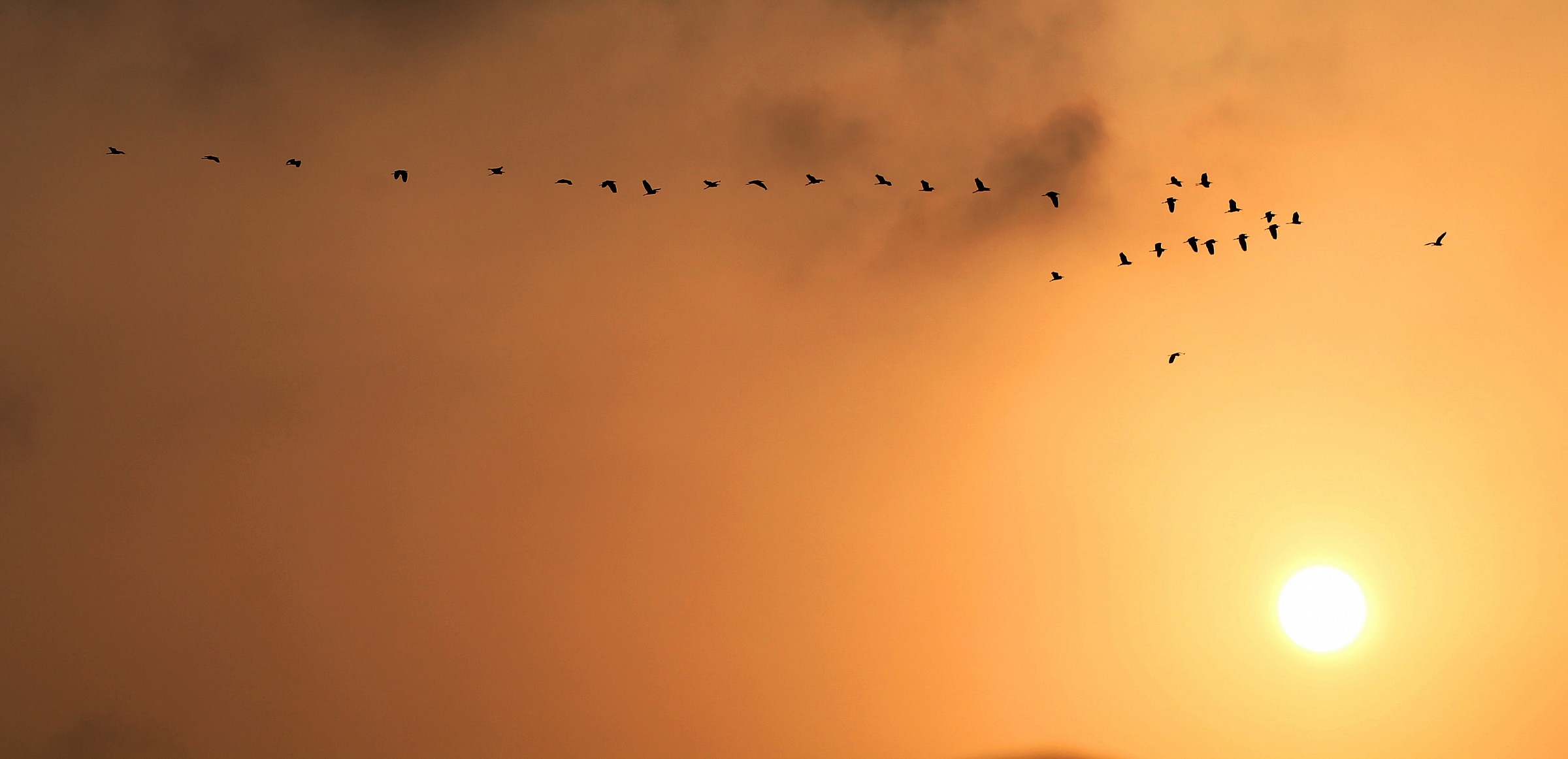 Più in alto del sole