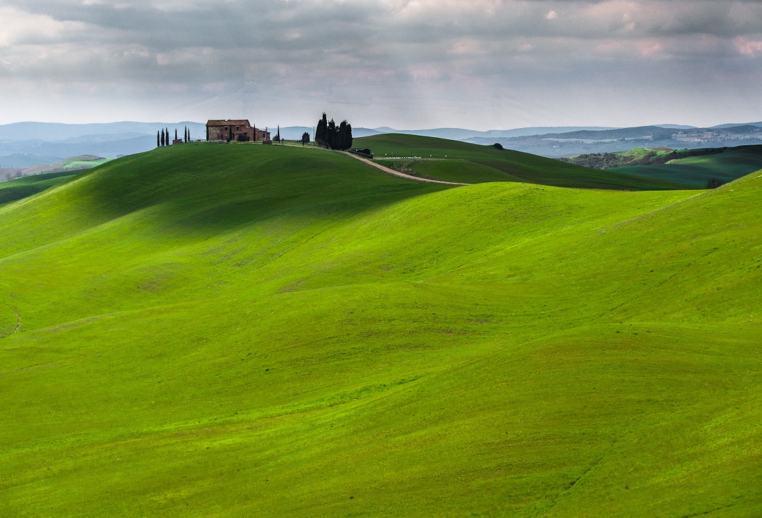 crete senesi in primavera 1