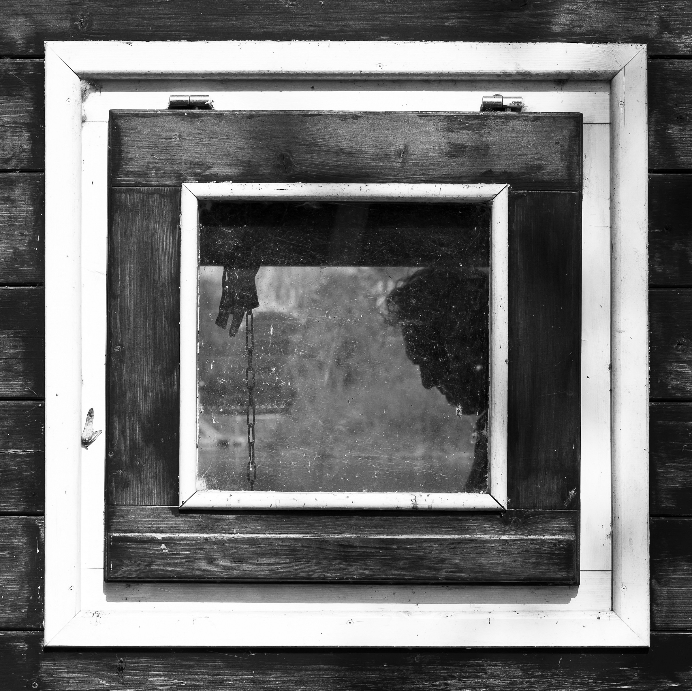 ecco cos'hanno di simpatico le parole semplici...