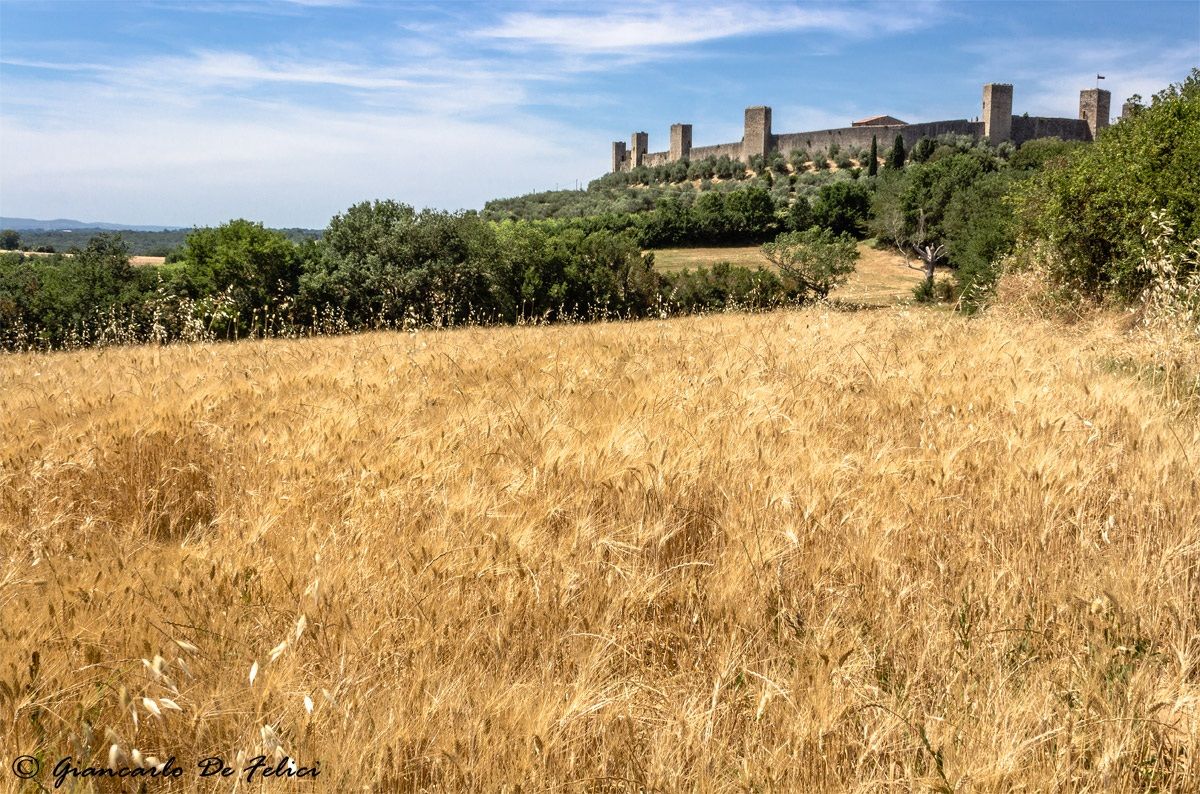 The siege of the grain to a crown of towers