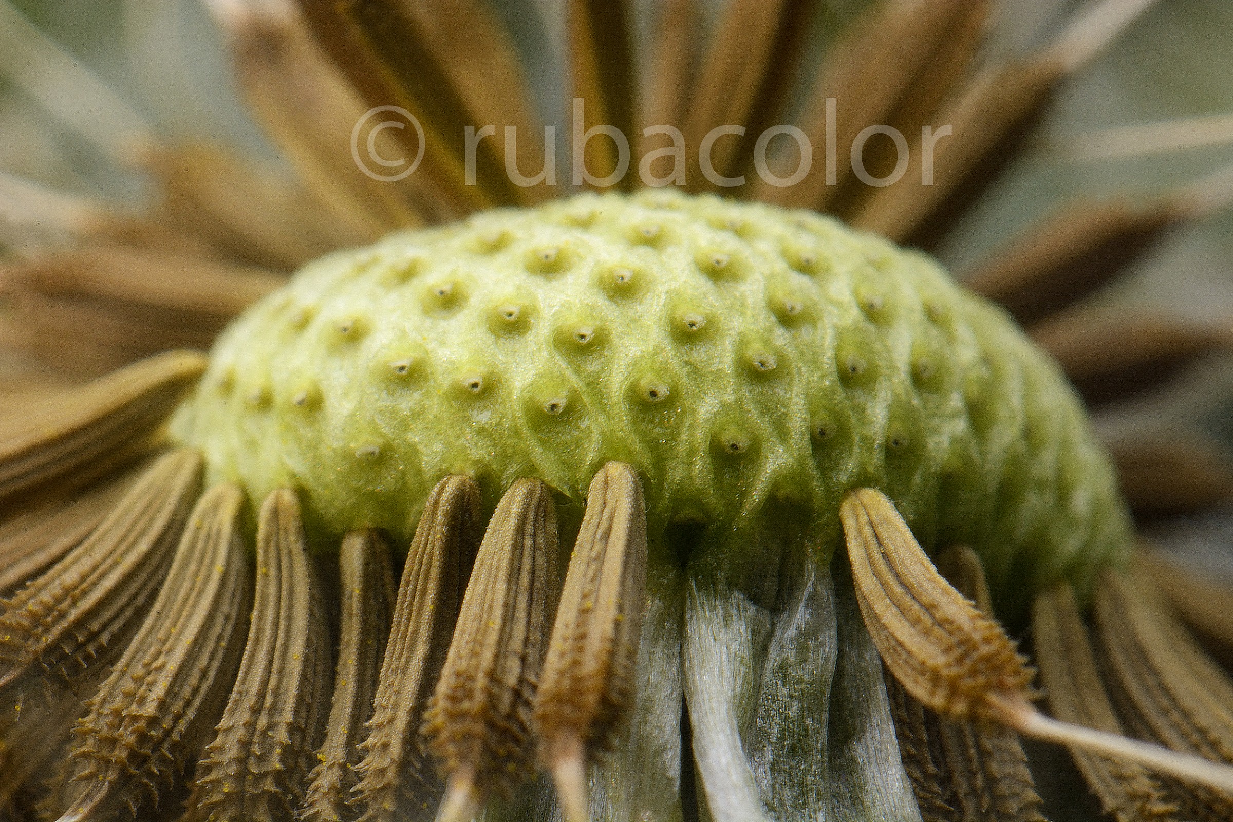 What remains of a breath