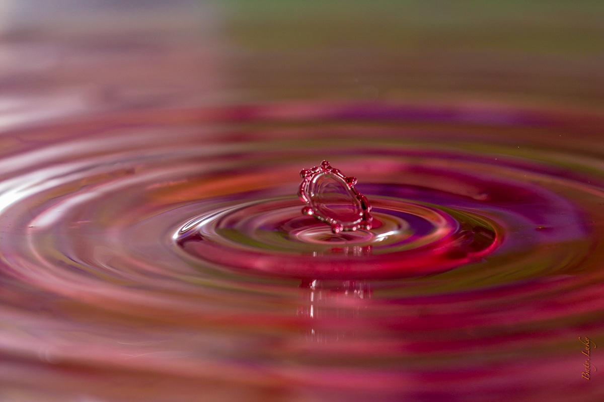 Your Mio first impact