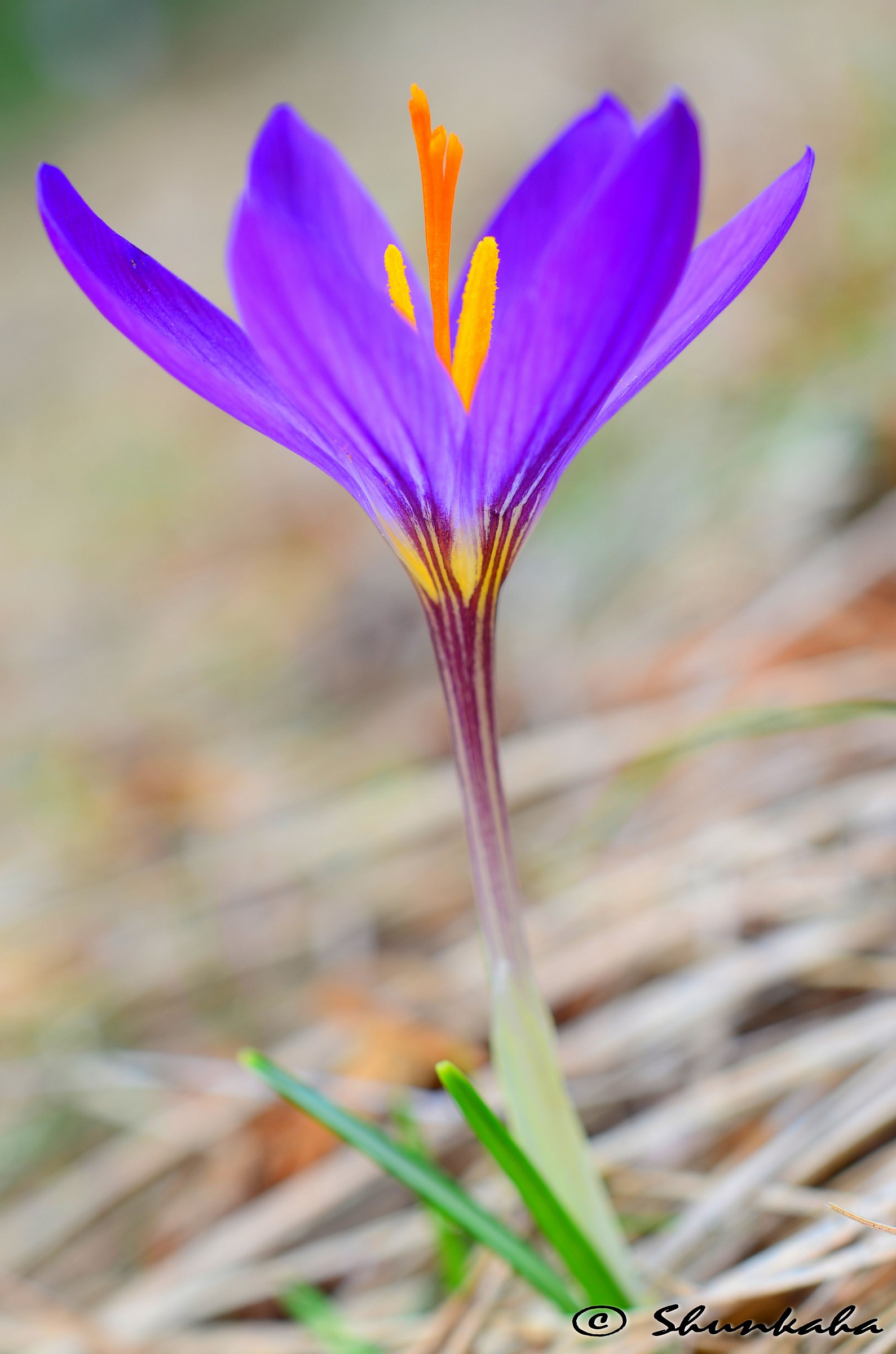 Winter has gone away