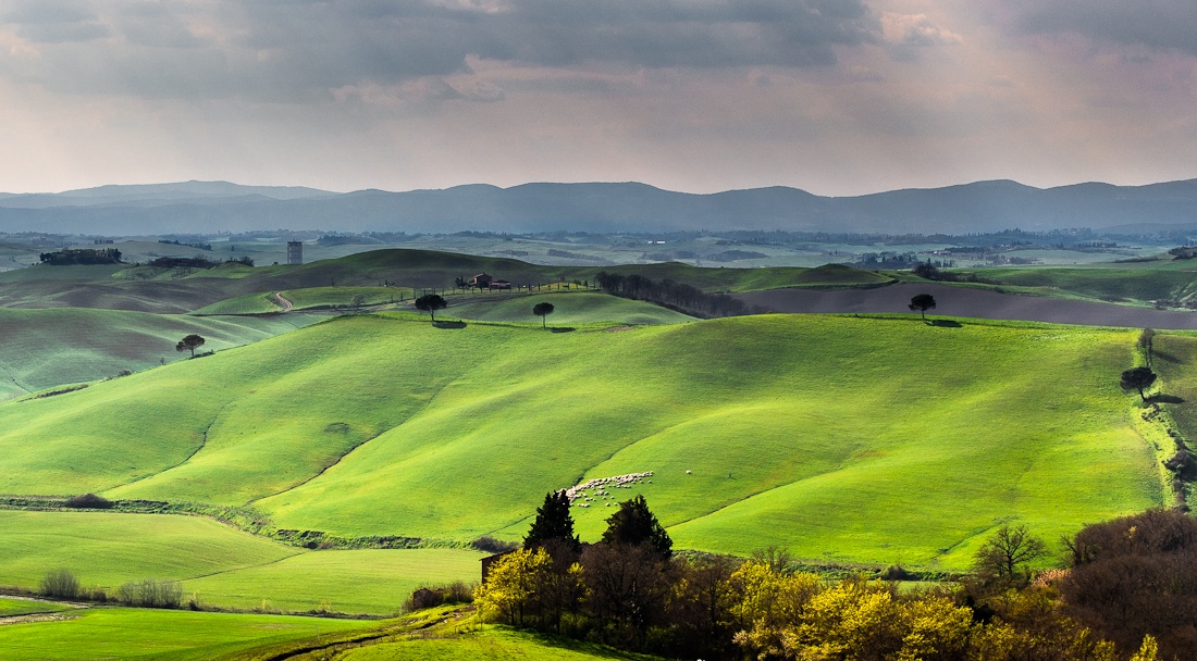 Crete Senesi in spring 2