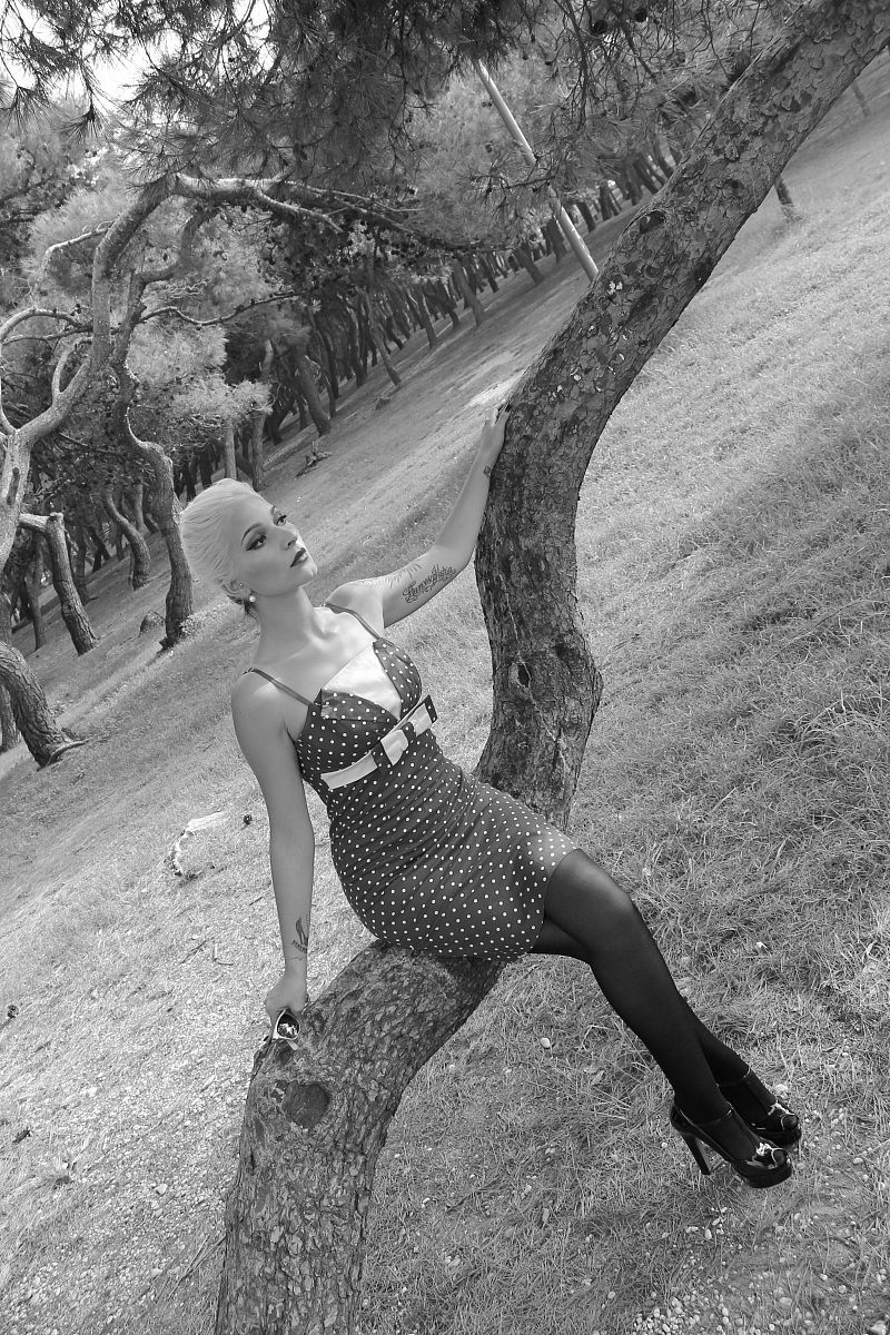 shade under the tree