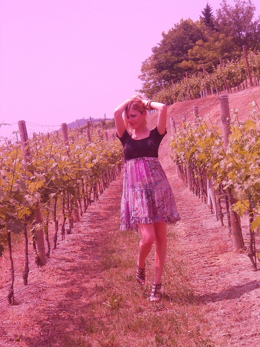 along the olive trees