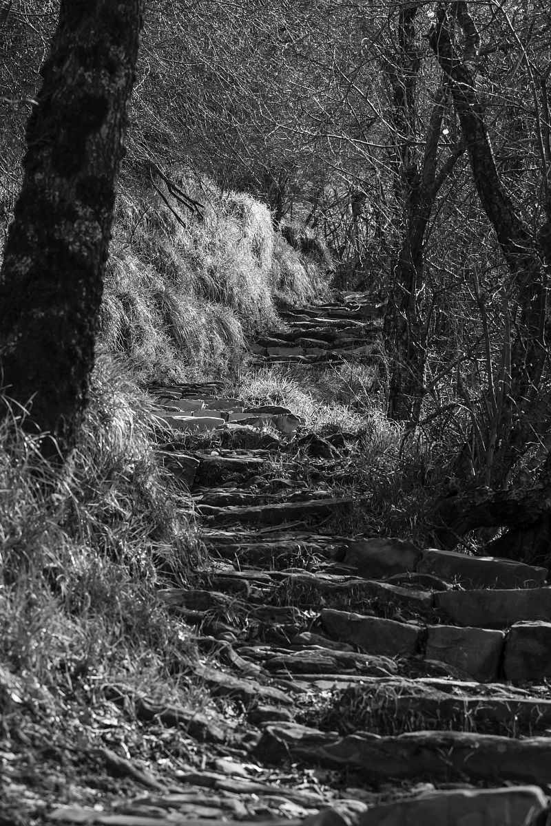 Path to Lavazzuoli, Val Brevenna (Ge)