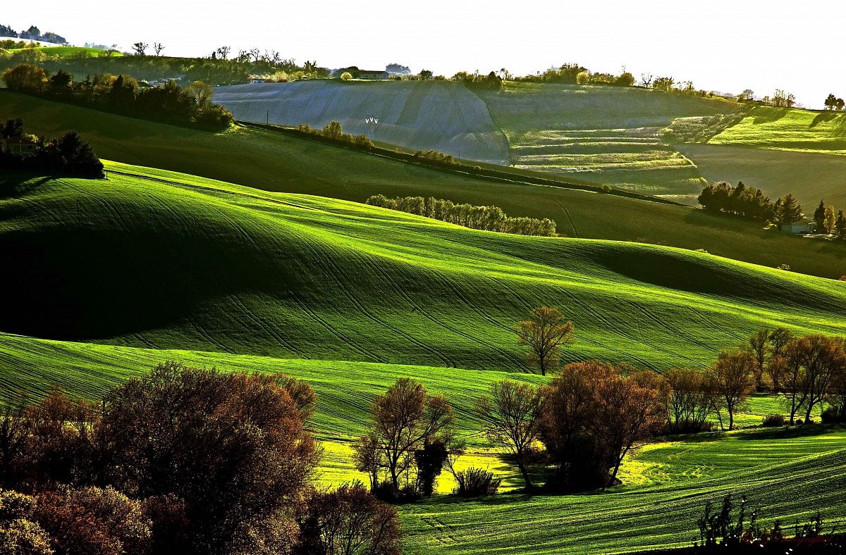 Pennellate di Primavera