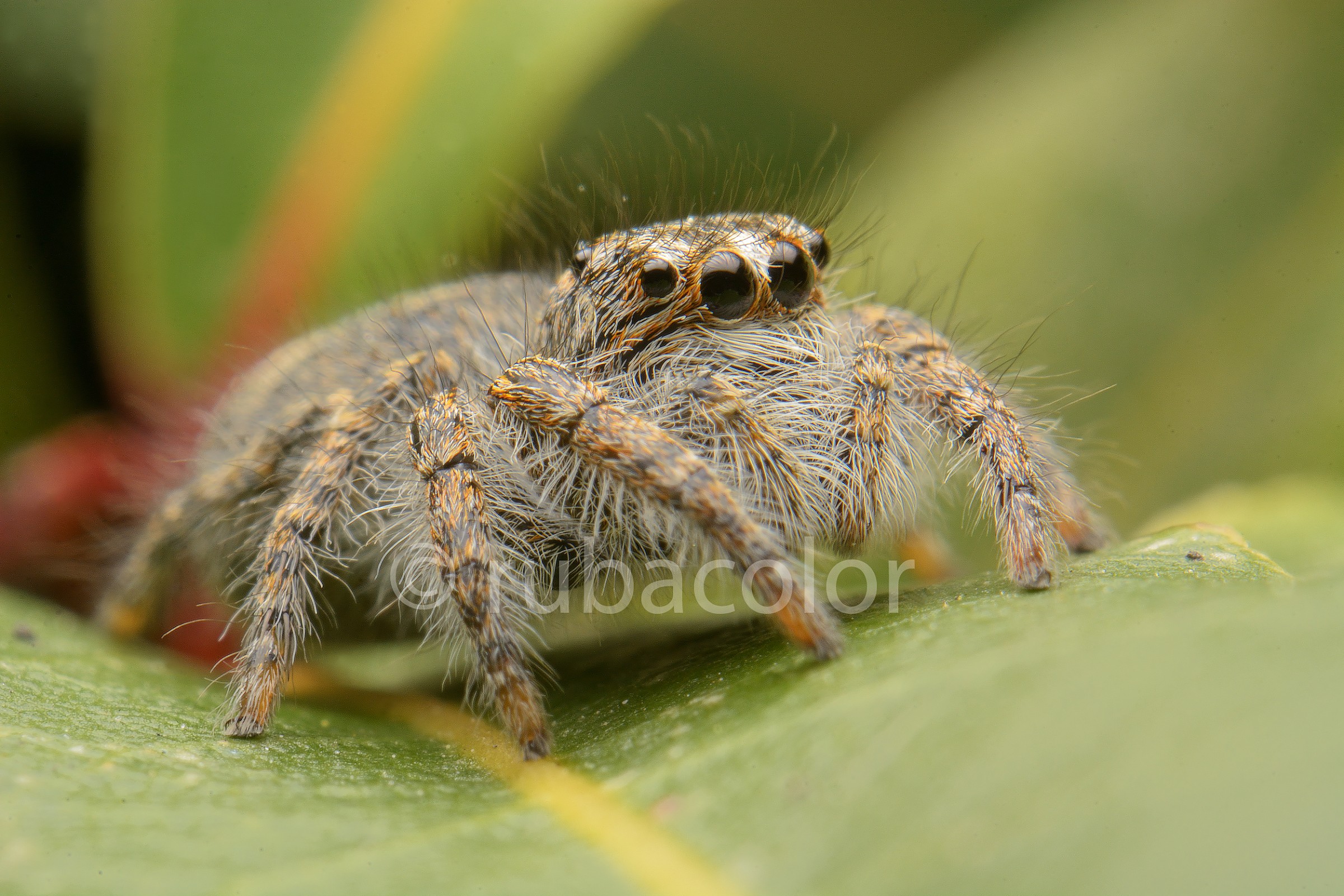 Some hair in his eyes but photogenic