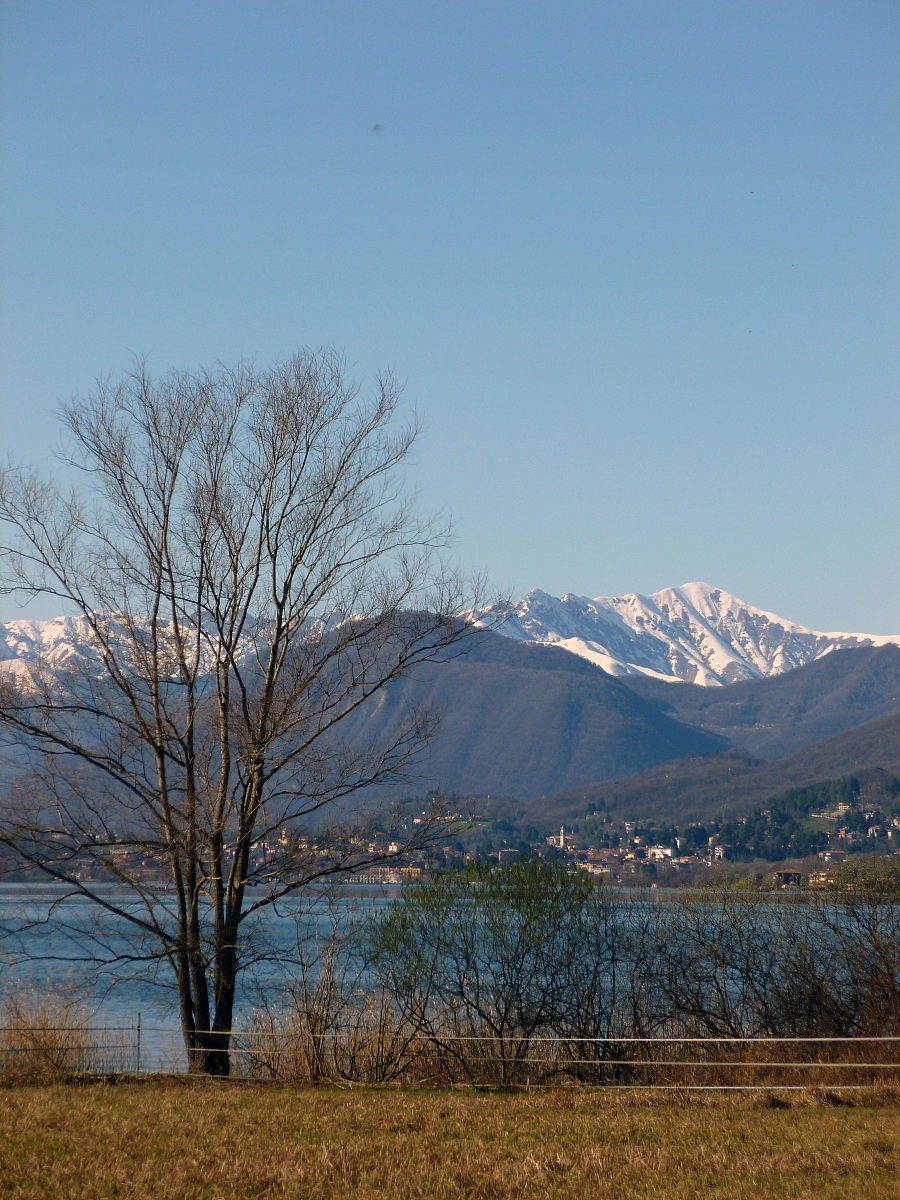 Il lago di Varese 4
