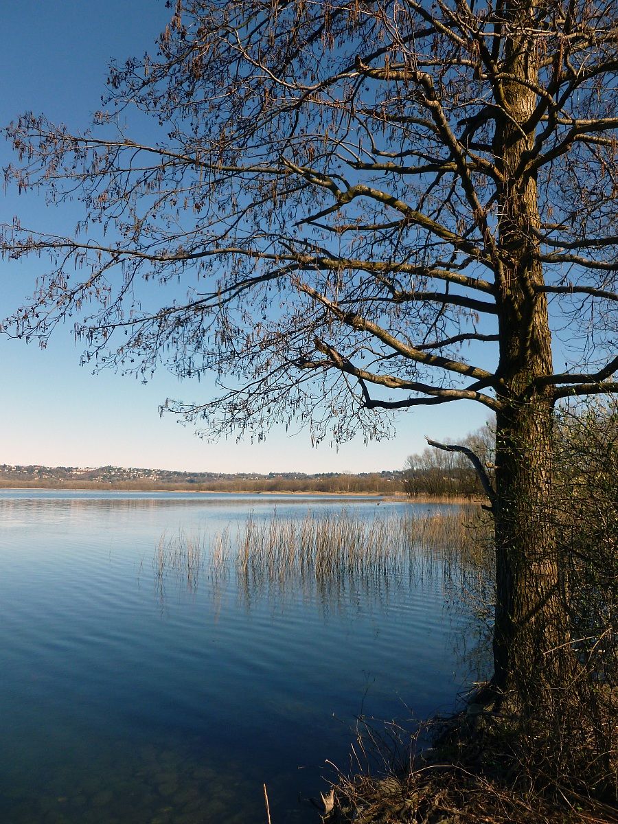Il lago di Varese 6