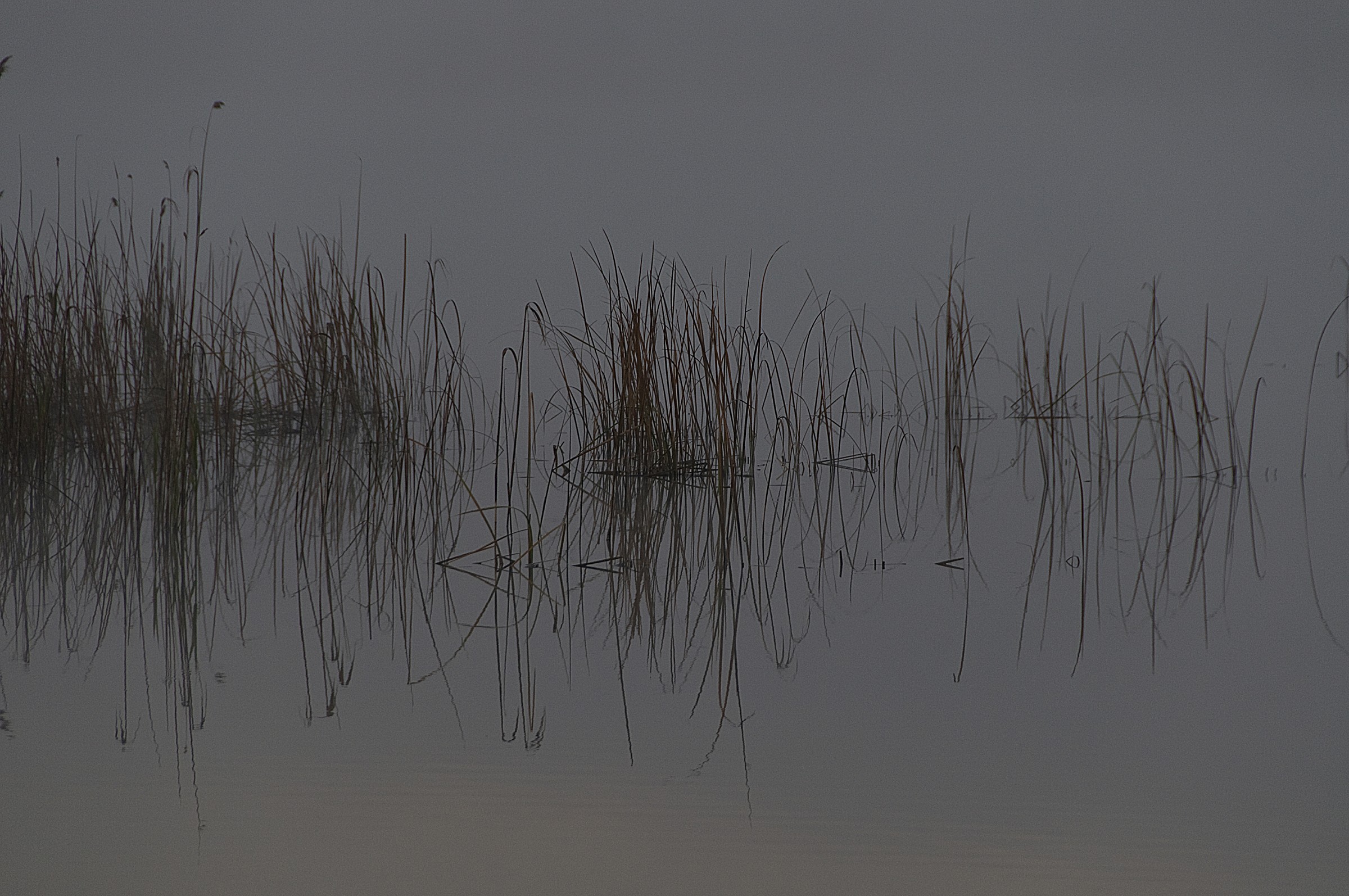 Lake Fountains, Landscape reflection